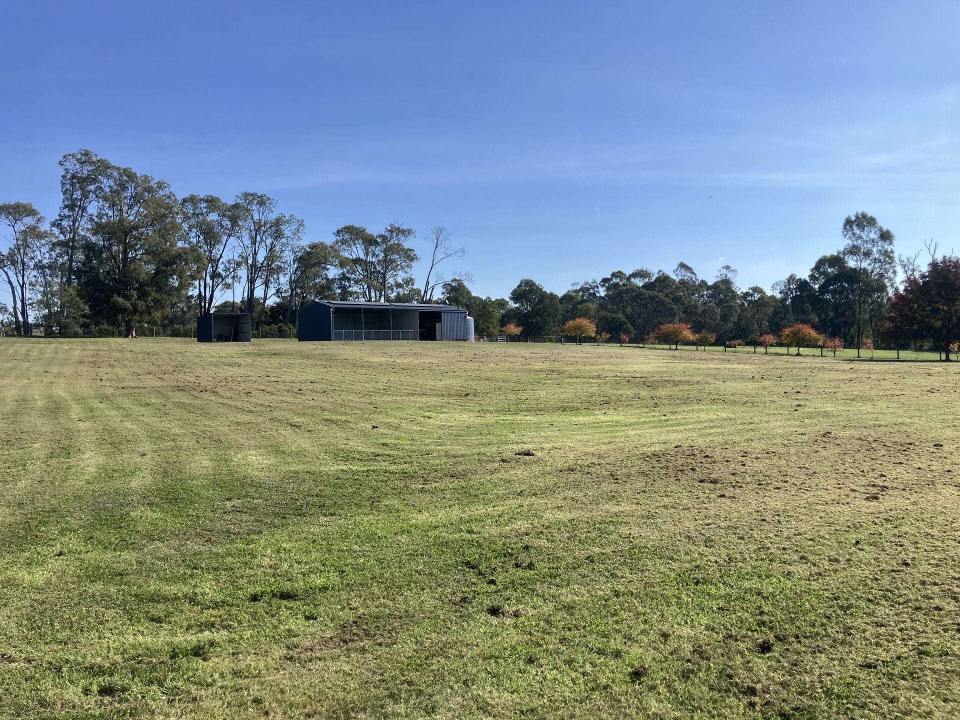 53 Burns Road, Glenburn For Sale by Farmbuy.com - image 18