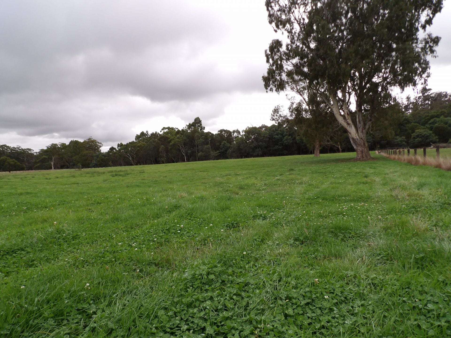 53 Burns Road, Glenburn For Sale by Farmbuy.com - image 19