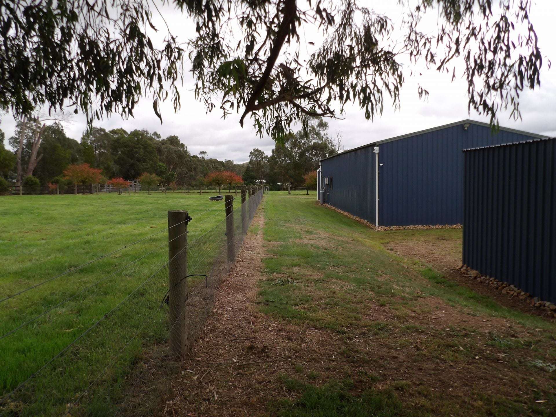53 Burns Road, Glenburn For Sale by Farmbuy.com - image 17
