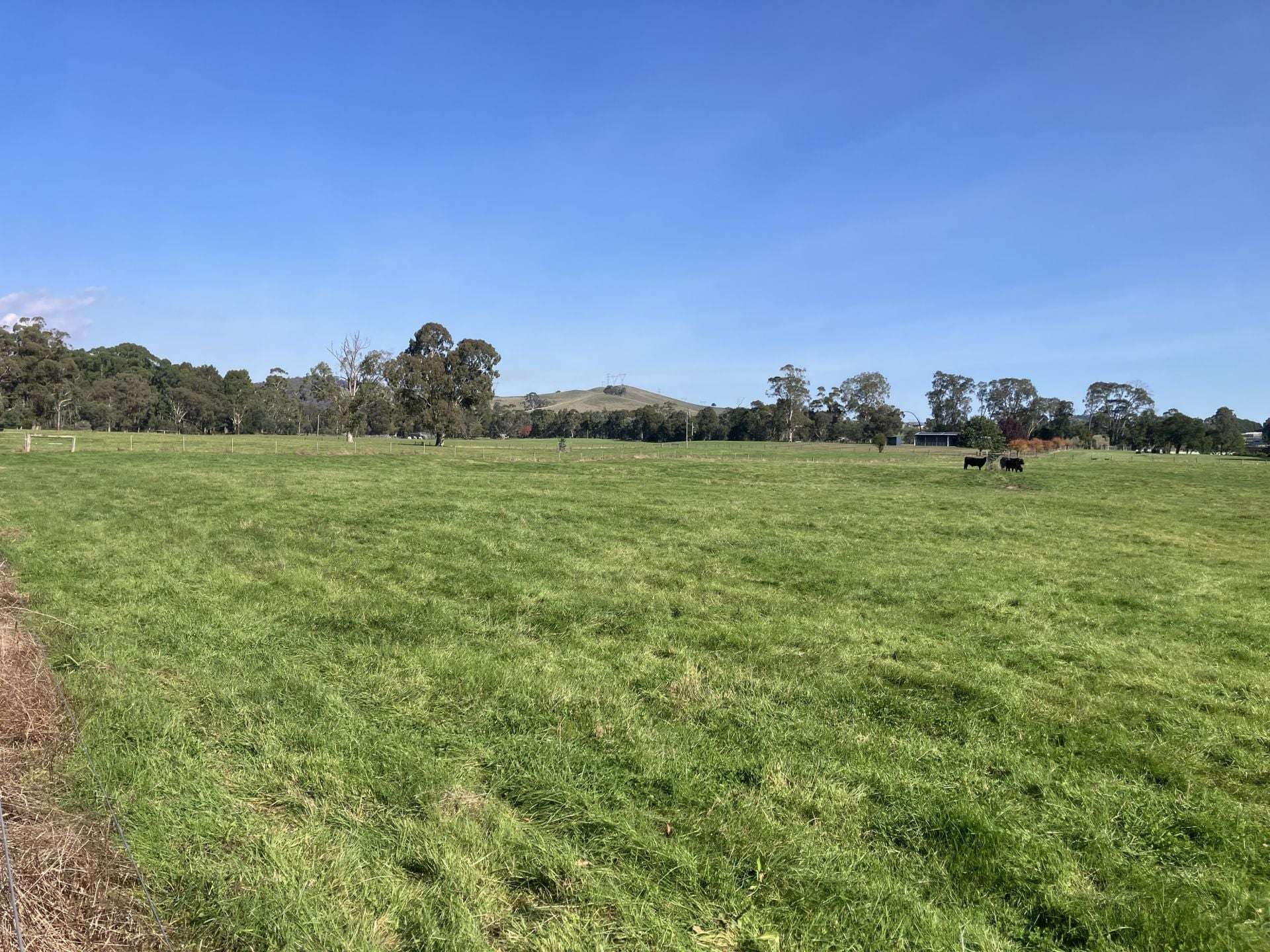 53 Burns Road, Glenburn For Sale by Farmbuy.com - image 7