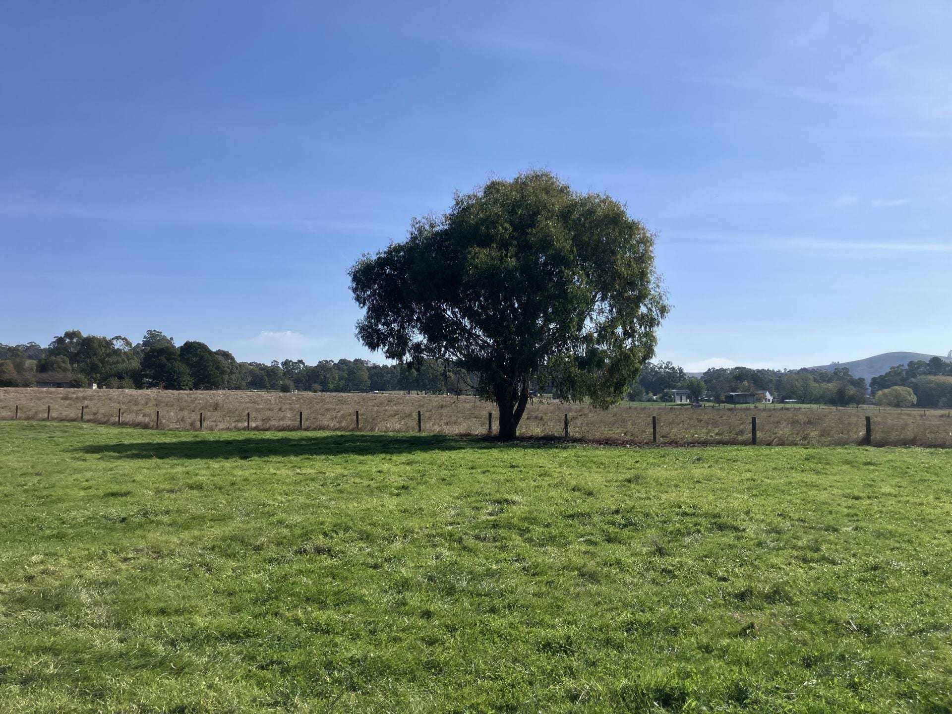 53 Burns Road, Glenburn For Sale by Farmbuy.com - image 32