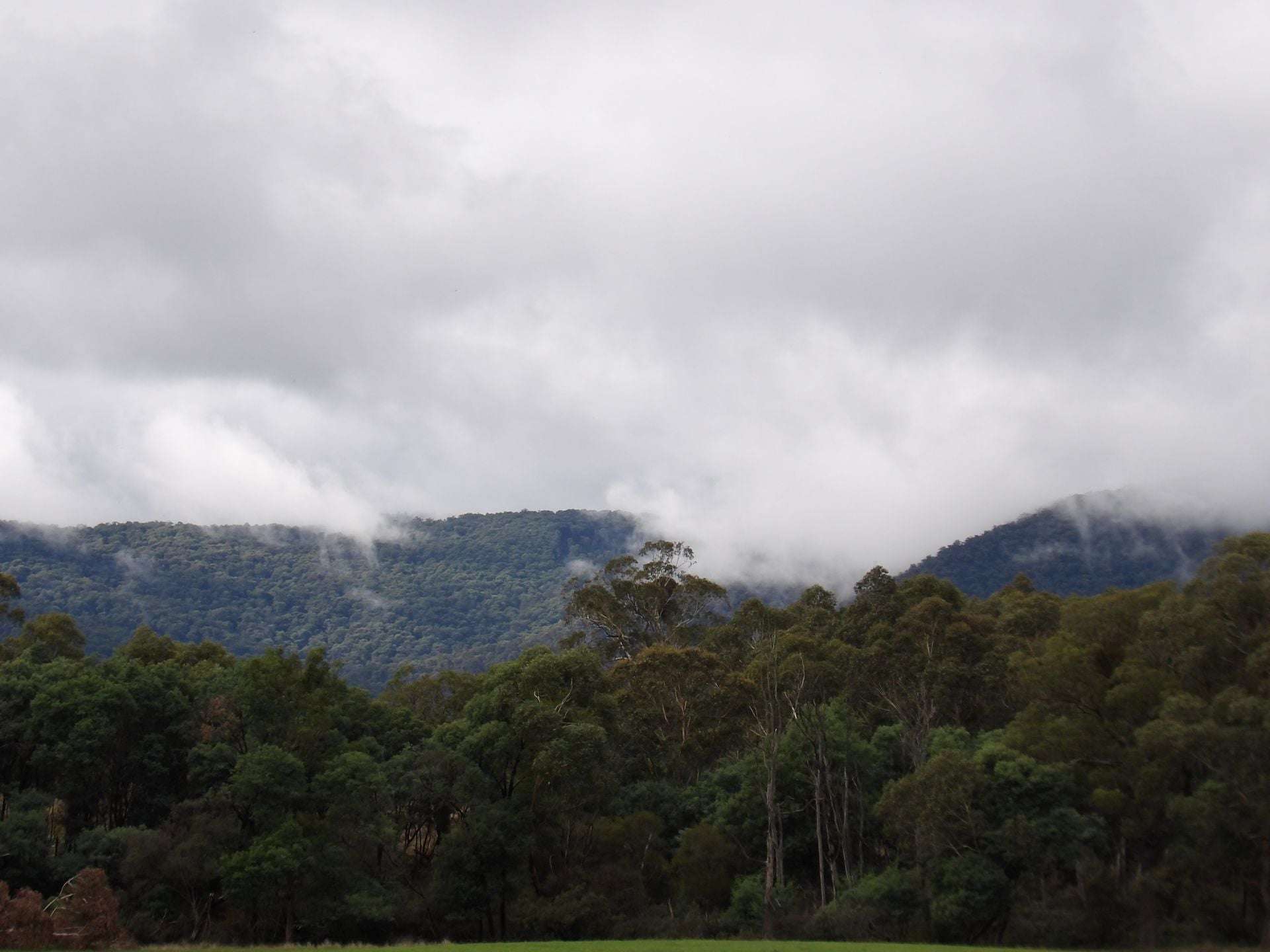 53 Burns Road, Glenburn For Sale by Farmbuy.com - image 20