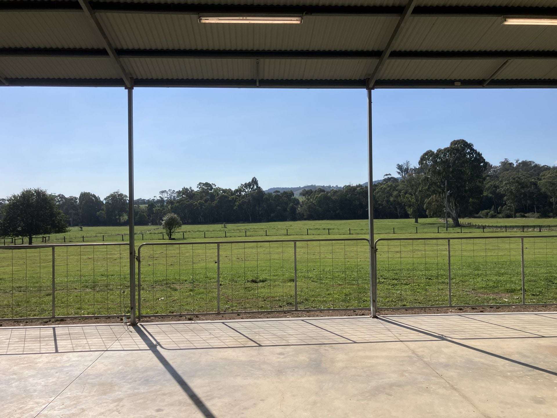 53 Burns Road, Glenburn For Sale by Farmbuy.com - image 12