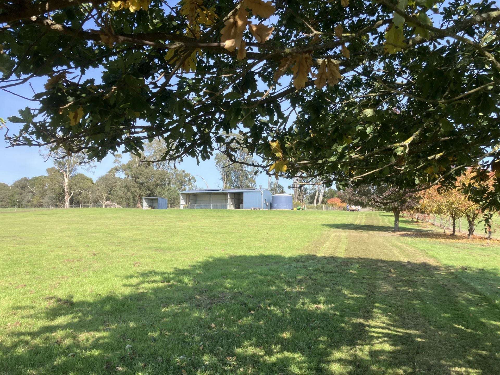 53 Burns Road, Glenburn For Sale by Farmbuy.com - image 13