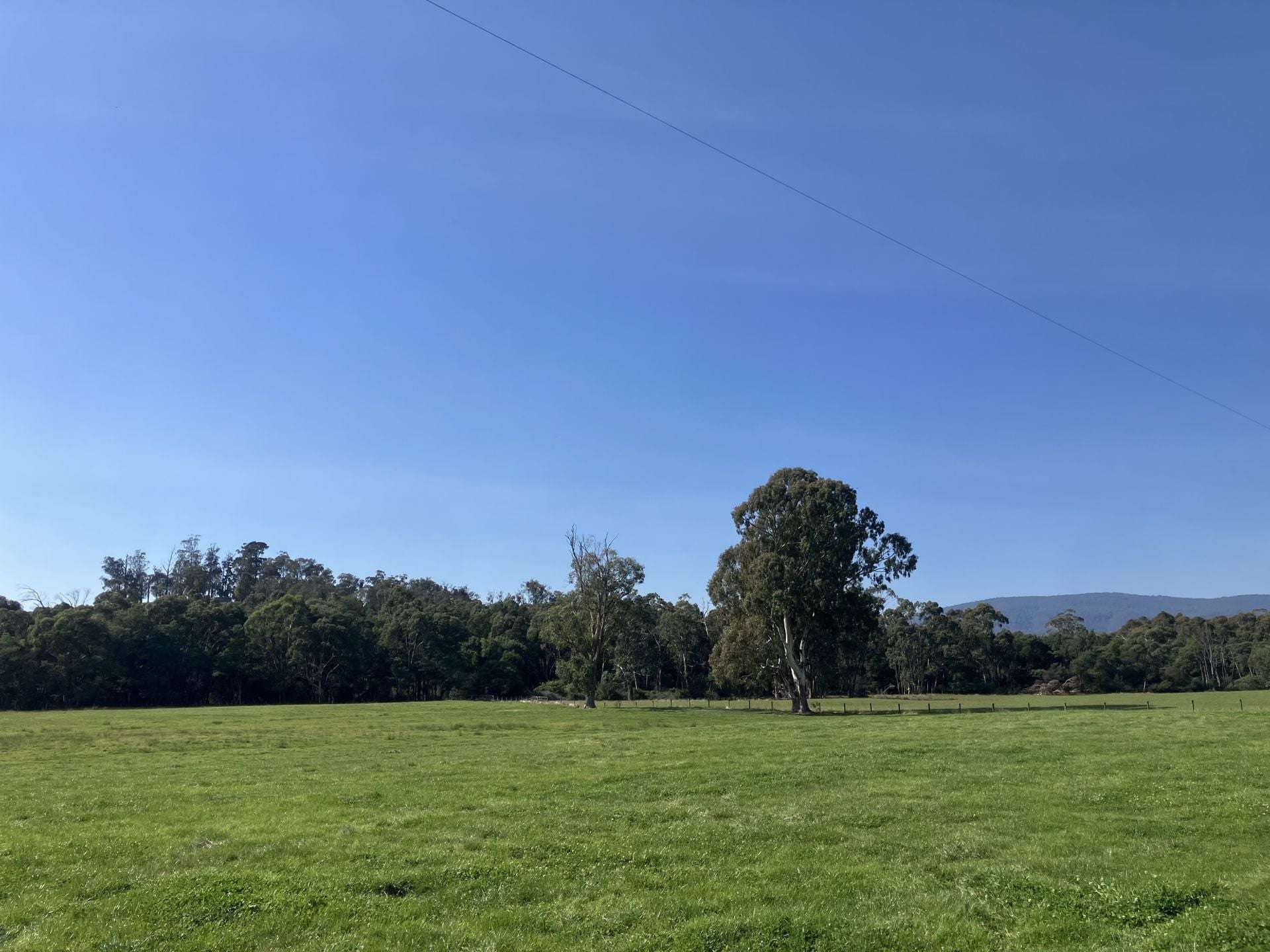 53 Burns Road, Glenburn For Sale by Farmbuy.com - image 25