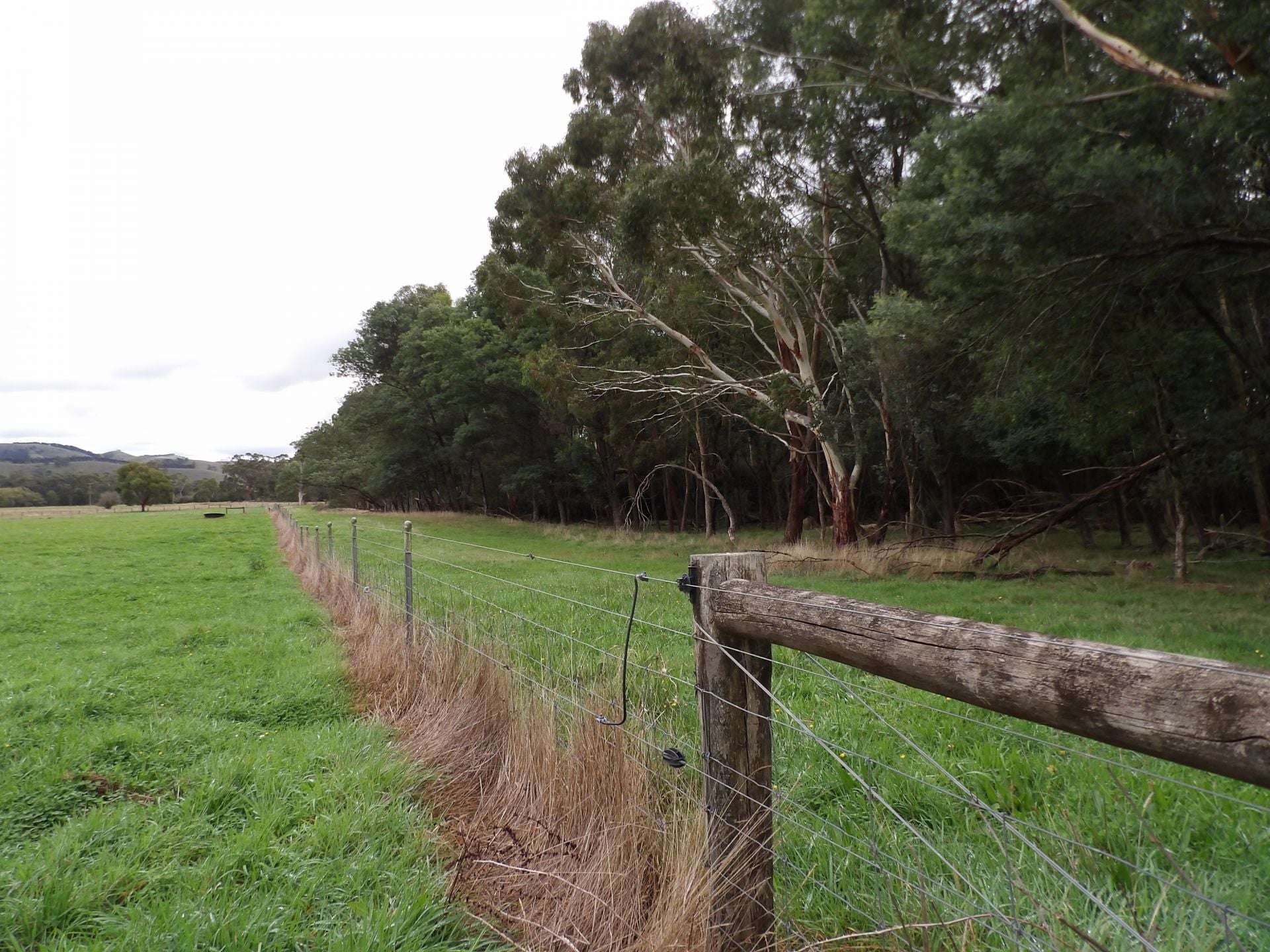 53 Burns Road, Glenburn For Sale by Farmbuy.com - image 22