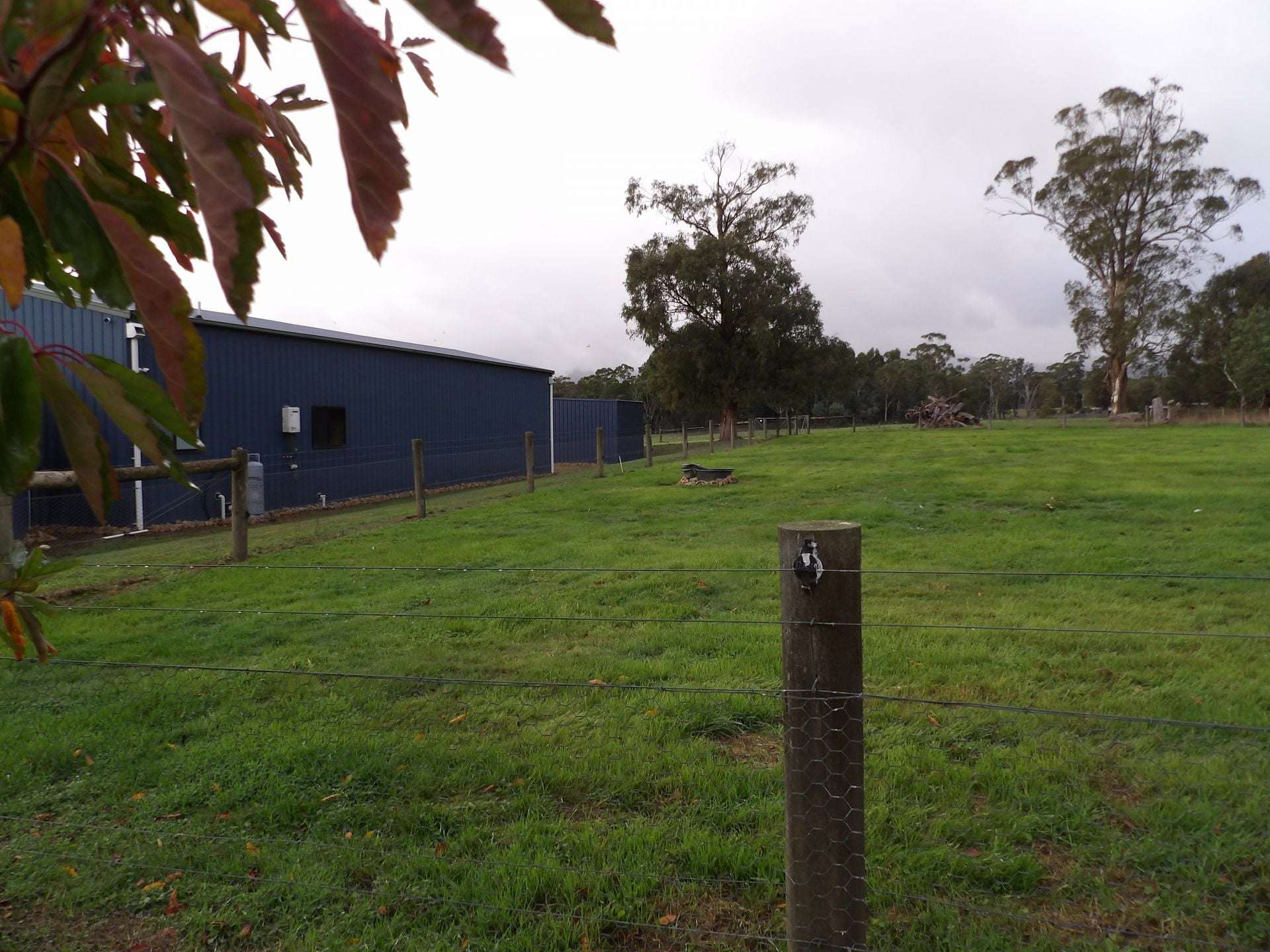53 Burns Road, Glenburn For Sale by Farmbuy.com - image 19