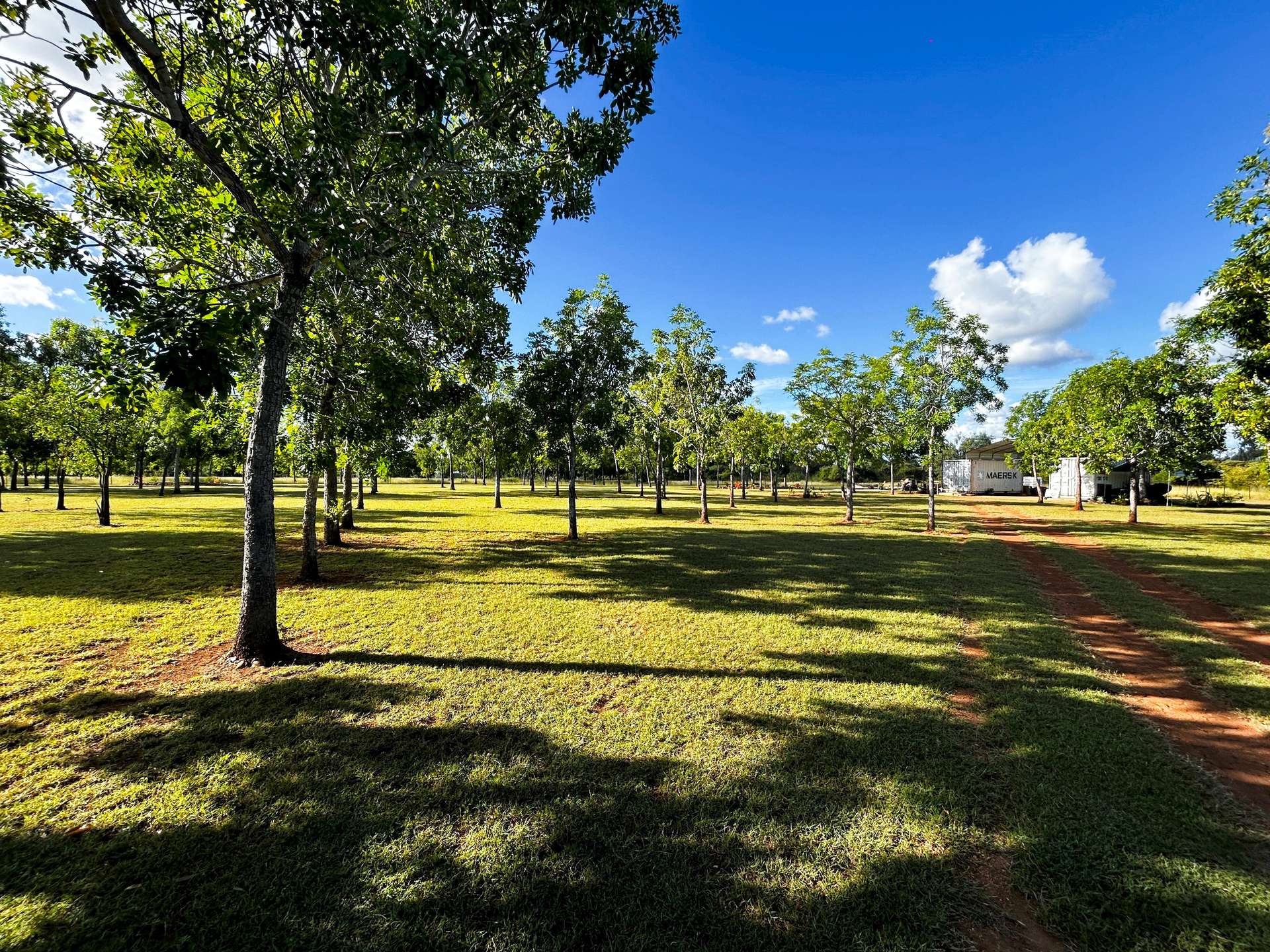 42 Mahogany Close, Breddan For Sale by Farmbuy.com - image 15