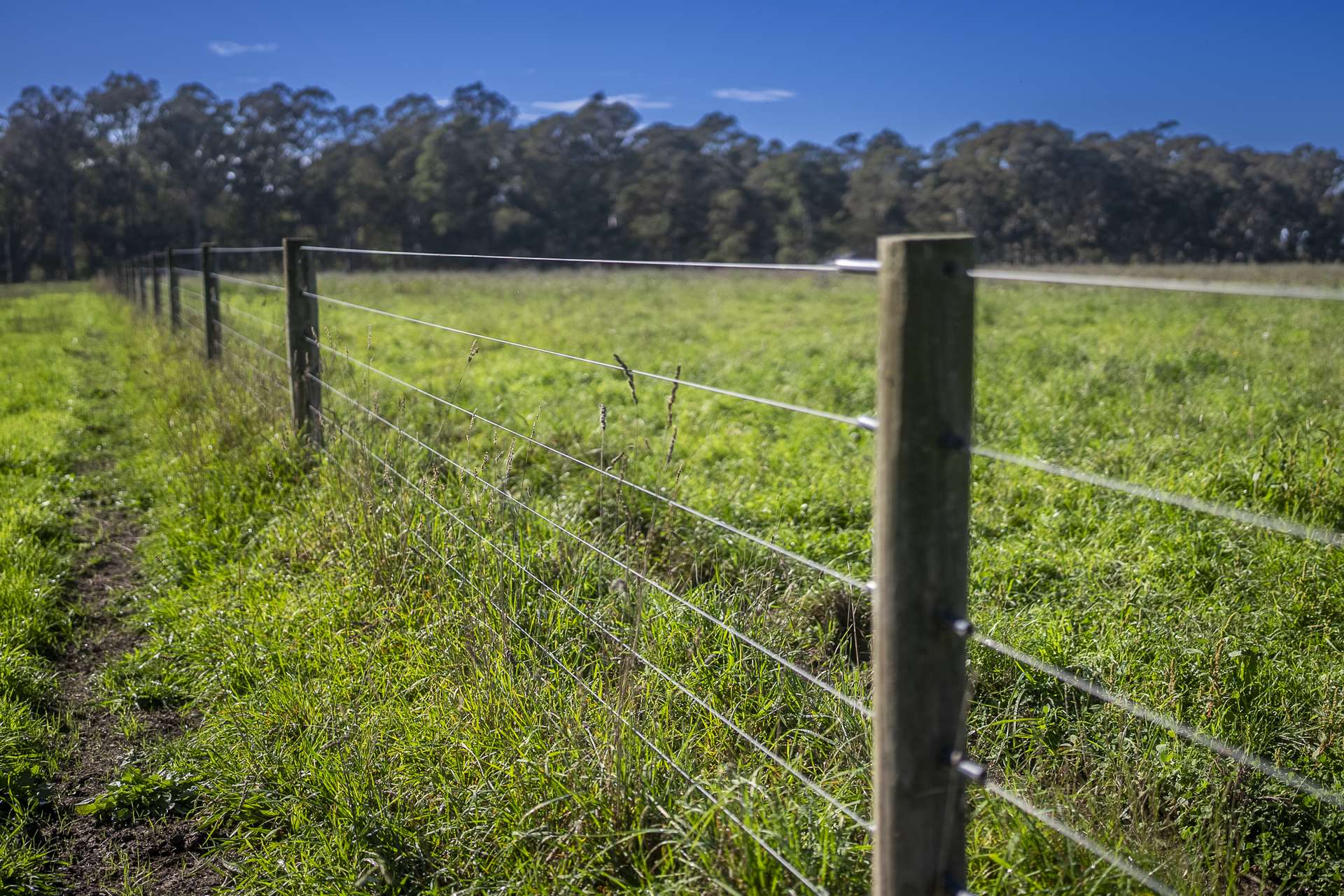 103 Kellys Road, Longford For Sale by Farmbuy.com - image 24