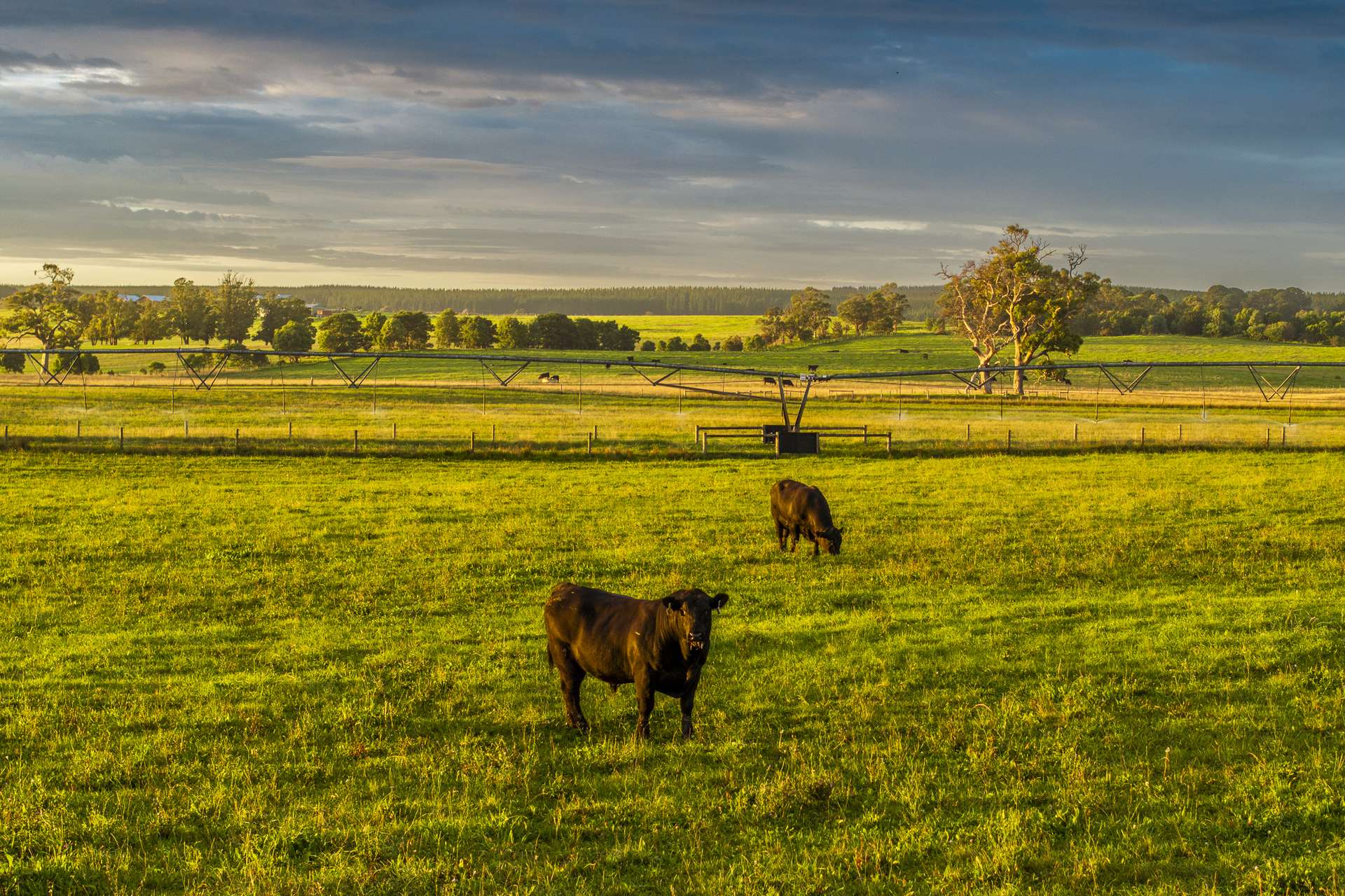 103 Kellys Road, Longford For Sale by Farmbuy.com - image 2