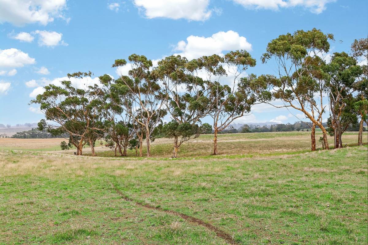 118 Byaduk-Penshurst Road, Byaduk For Sale by Farmbuy.com - image 14