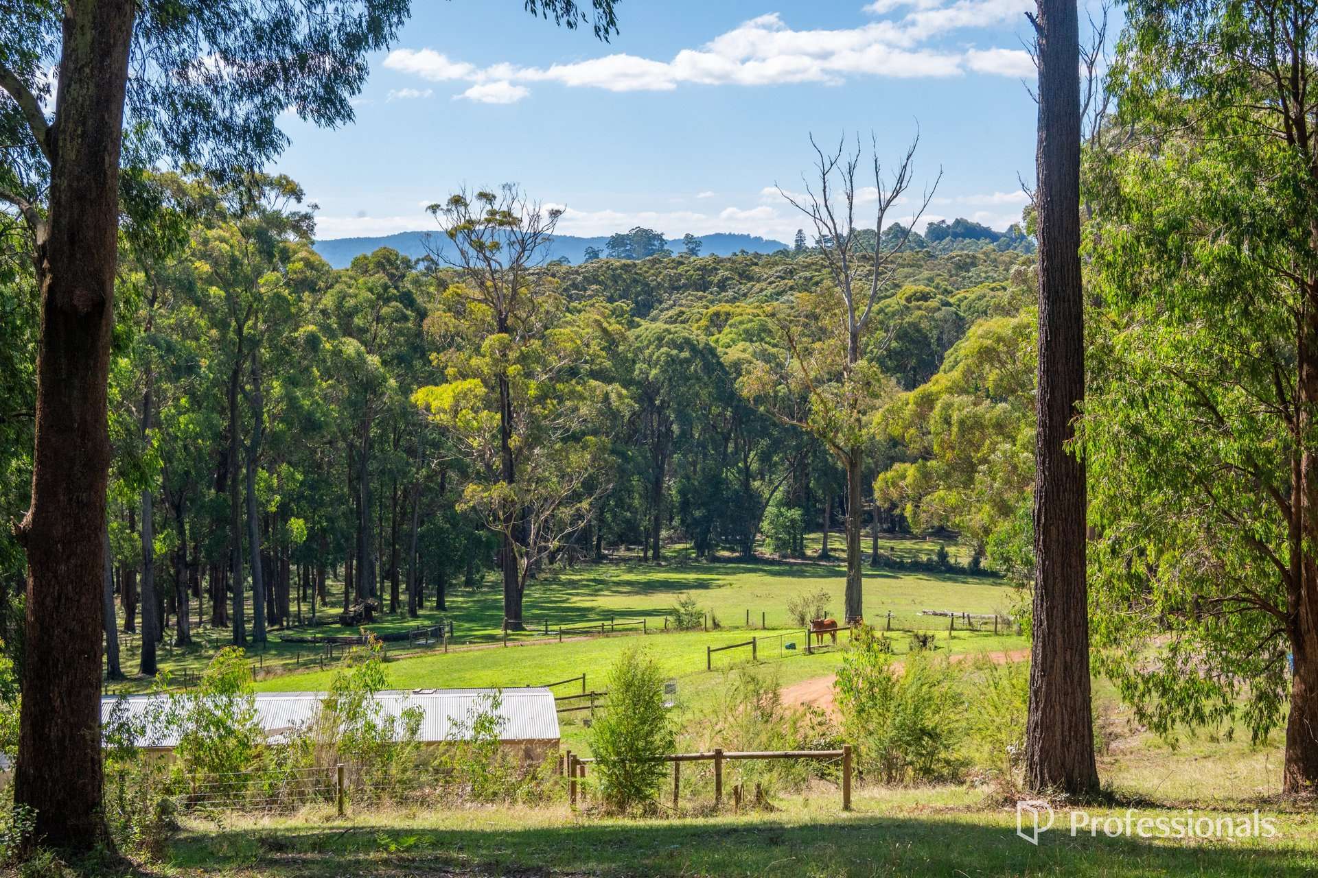 620 Thonemans Road, Hoddles Creek Sold by Farmbuy.com - image 2