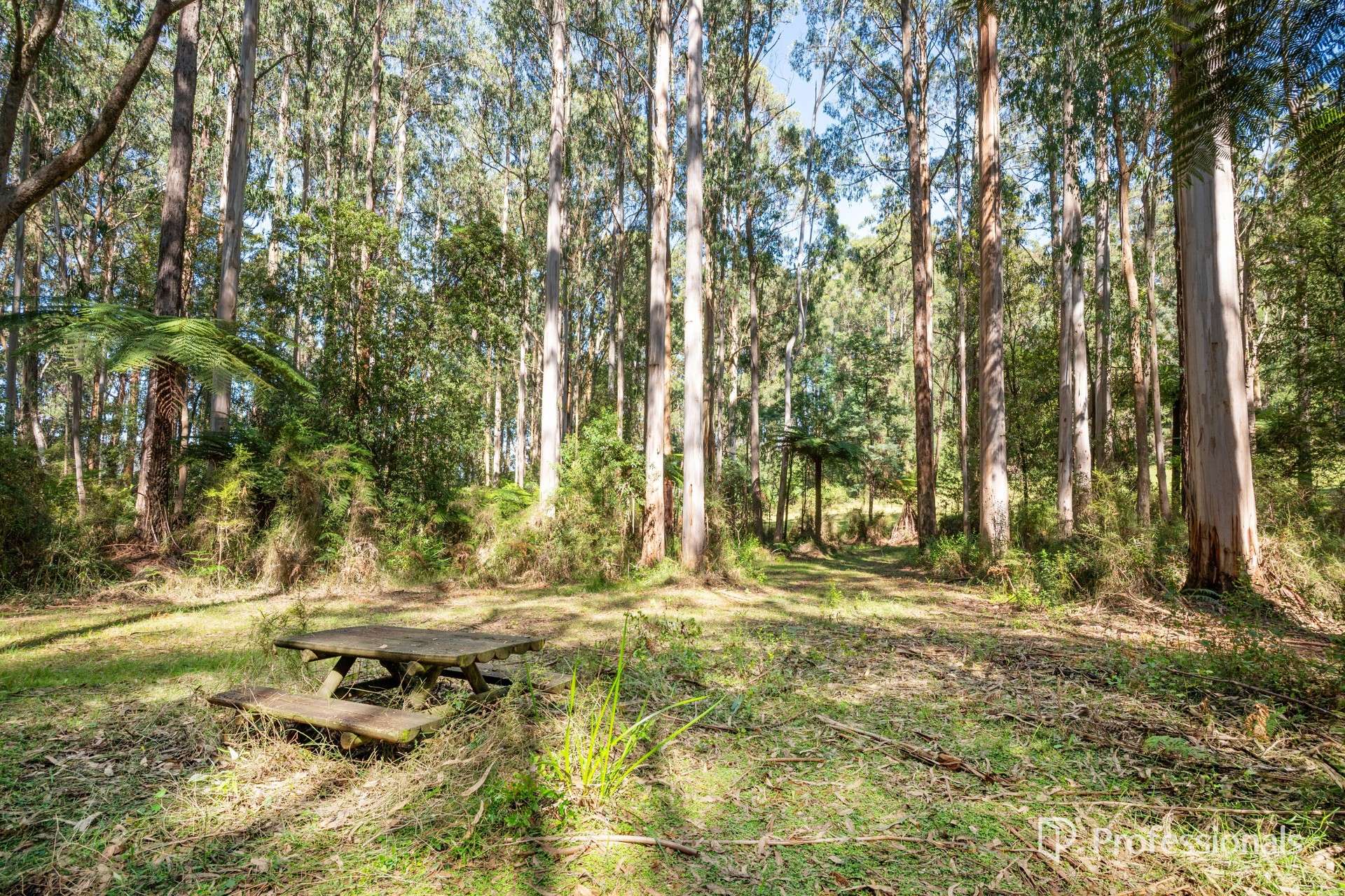 620 Thonemans Road, Hoddles Creek For Sale by Farmbuy.com - image 25