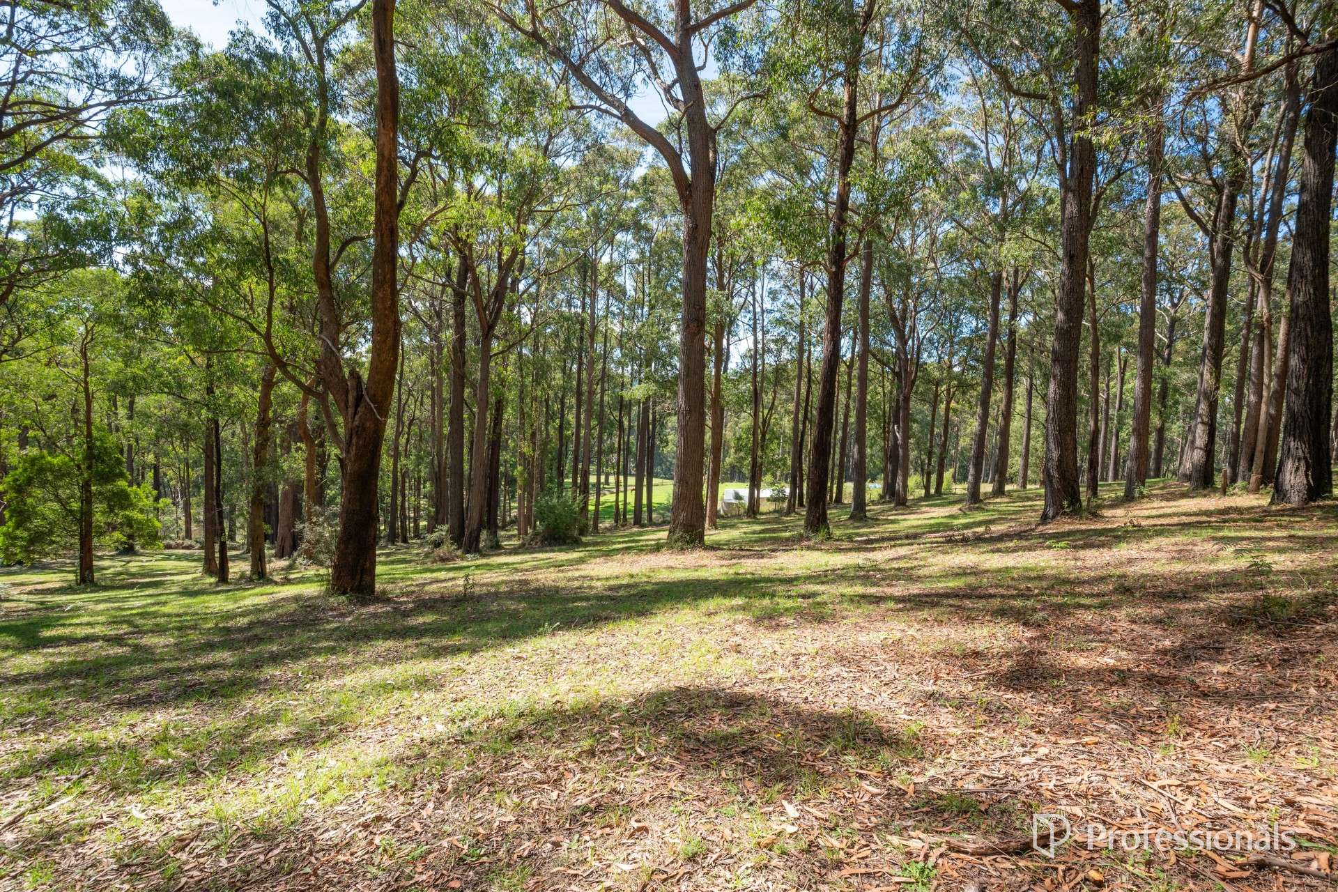 620 Thonemans Road, Hoddles Creek For Sale by Farmbuy.com - image 24