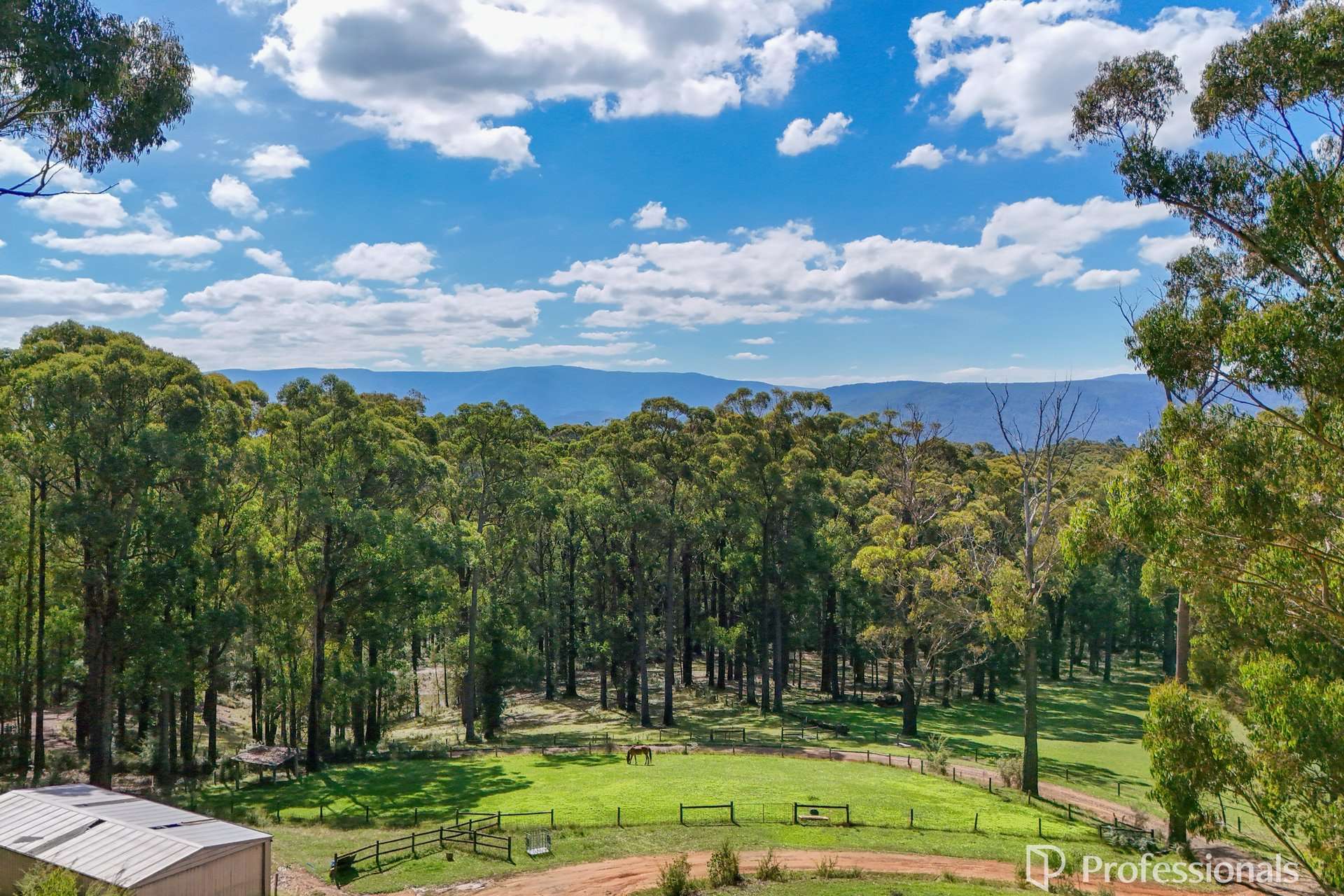 620 Thonemans Road, Hoddles Creek Sold by Farmbuy.com - image 19