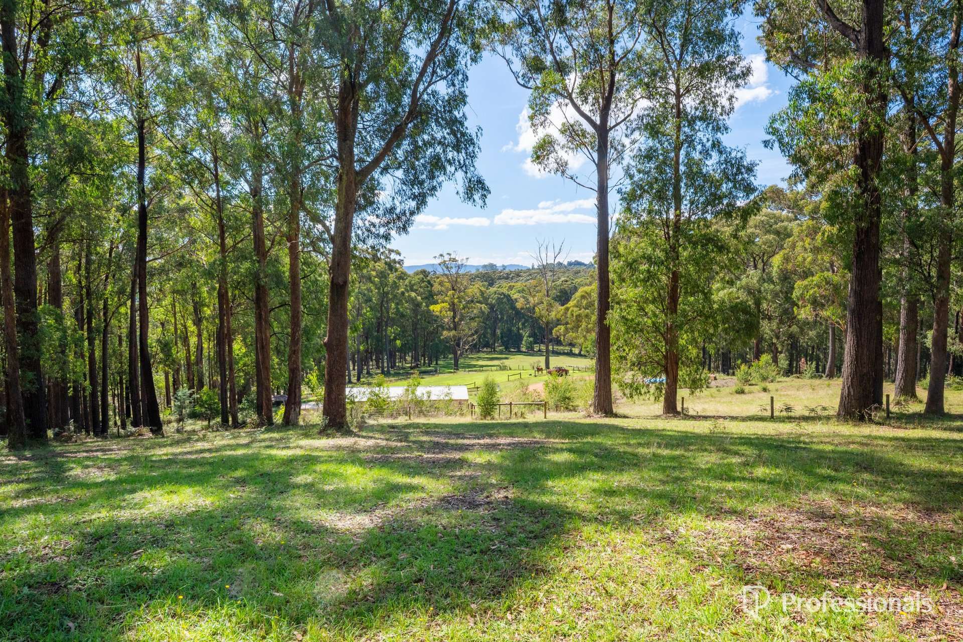 620 Thonemans Road, Hoddles Creek Sold by Farmbuy.com - image 20