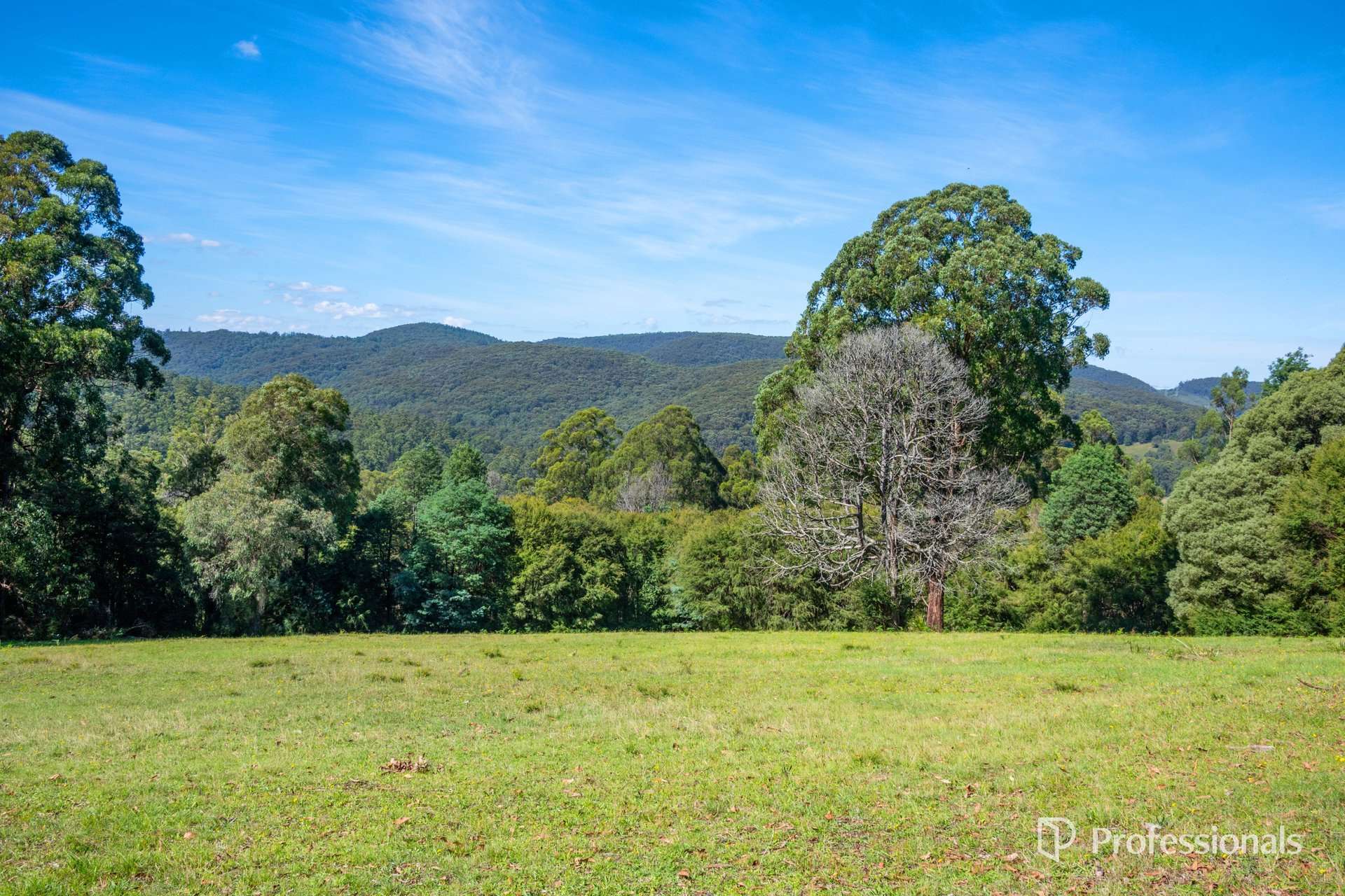 620 Thonemans Road, Hoddles Creek Sold by Farmbuy.com - image 3