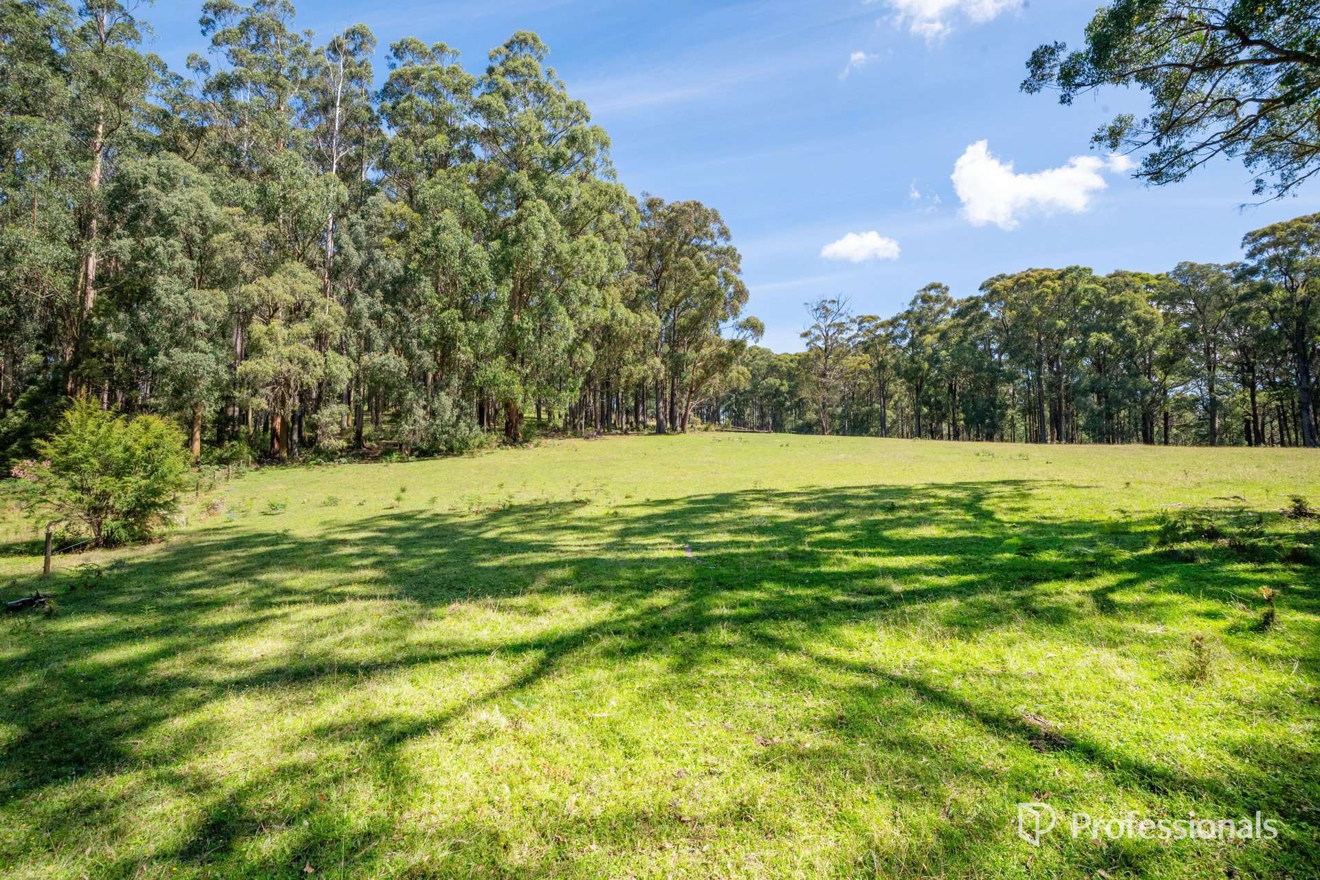 620 Thonemans Road, Hoddles Creek Sold by Farmbuy.com - image 26