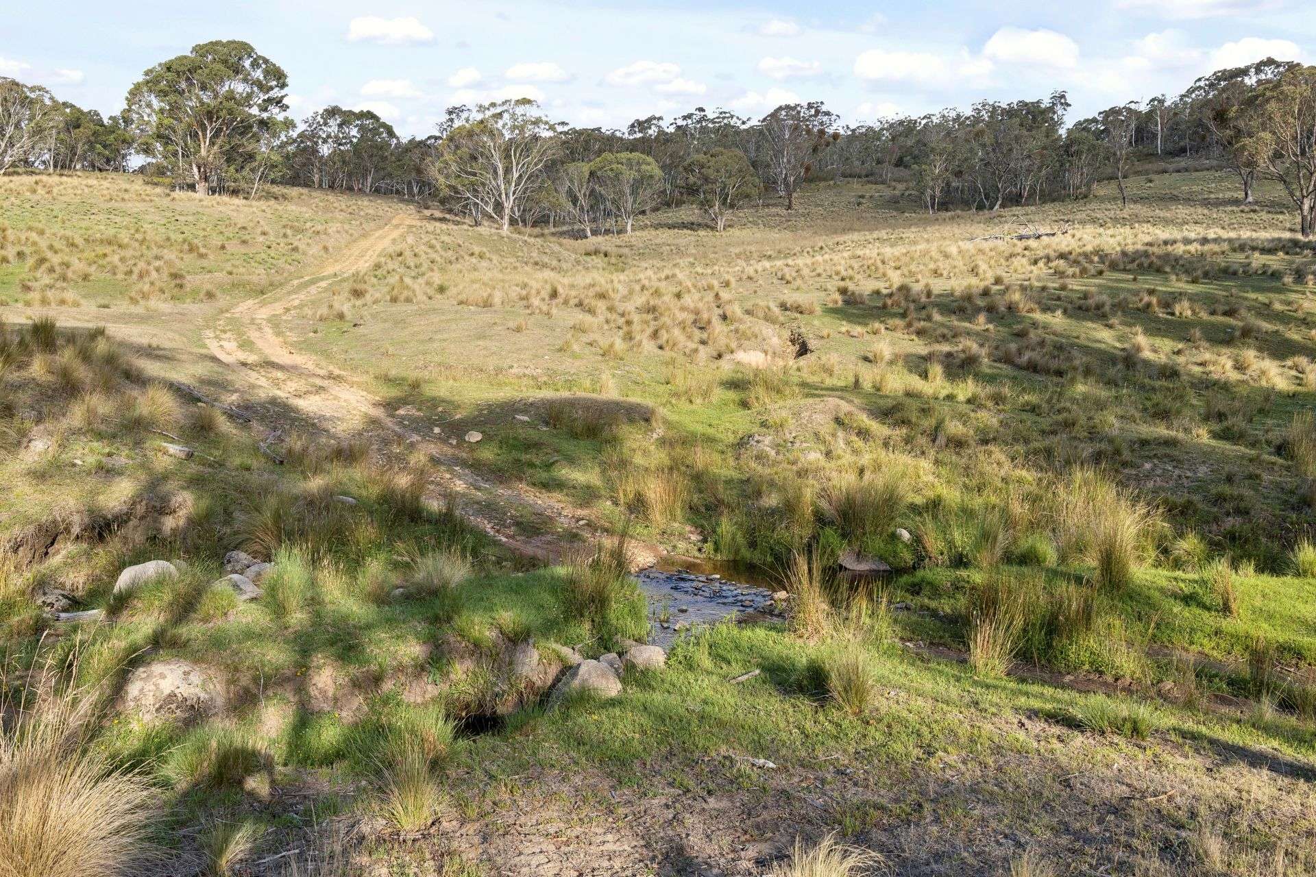 507 Harolds Cross Road, Braidwood For Sale by Farmbuy.com - image 35