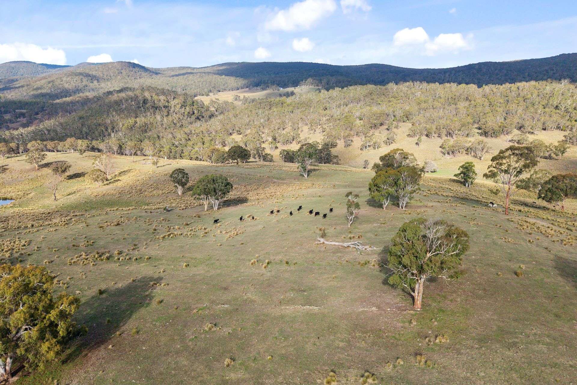 507 Harolds Cross Road, Braidwood For Sale by Farmbuy.com - image 33
