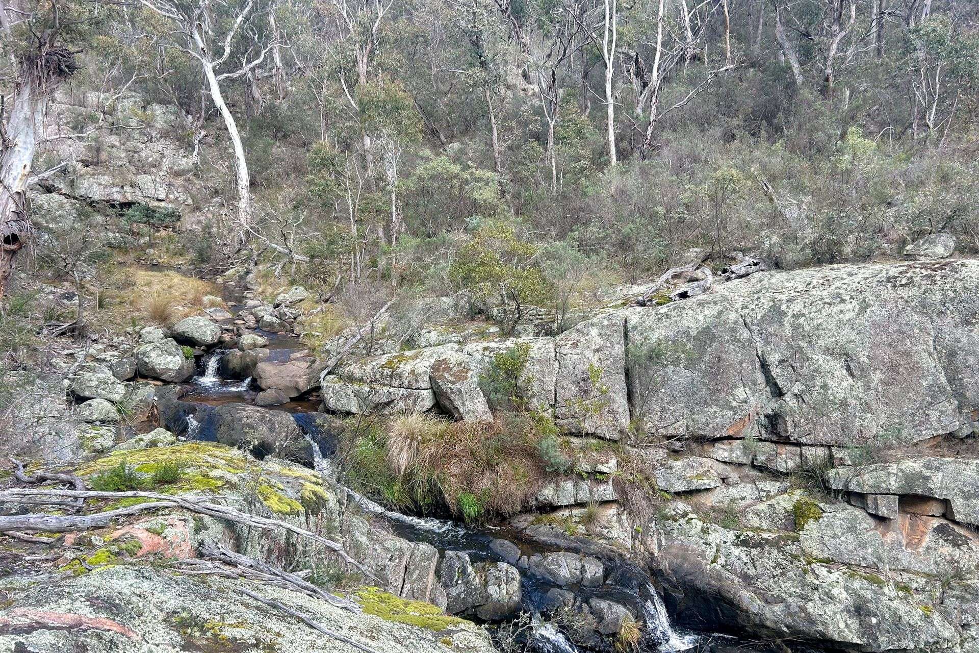 507 Harolds Cross Road, Braidwood For Sale by Farmbuy.com - image 20