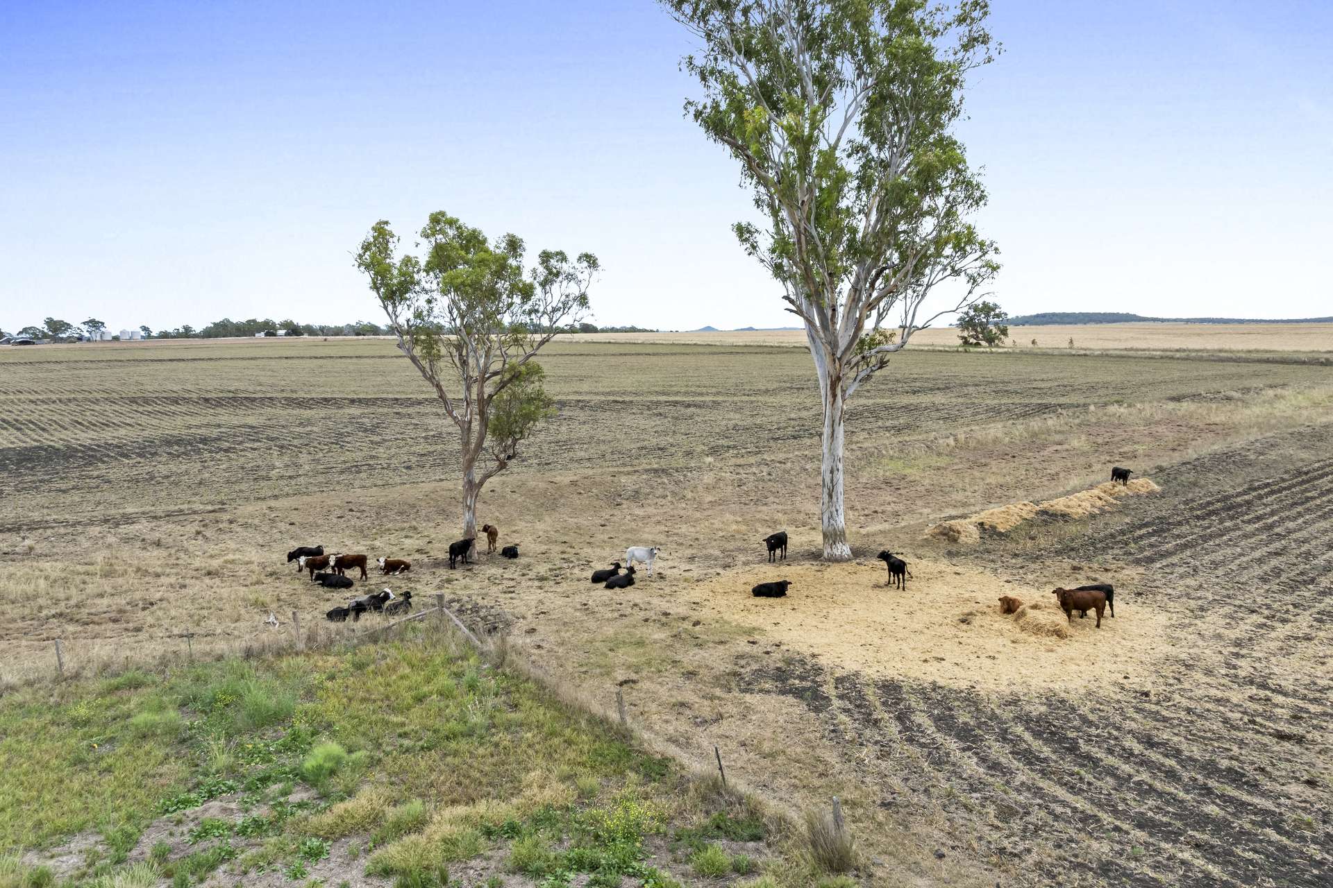 24 Naumann Road, Back Plains For Sale by Farmbuy.com - image 20