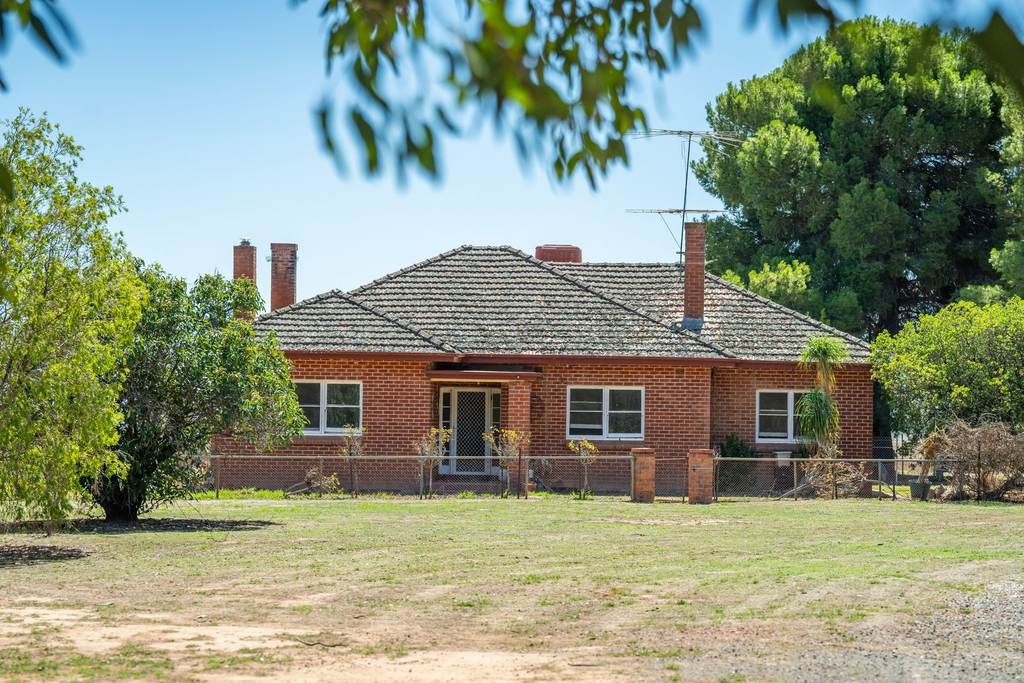 1127 Grubben Road, Henty NSW 2658