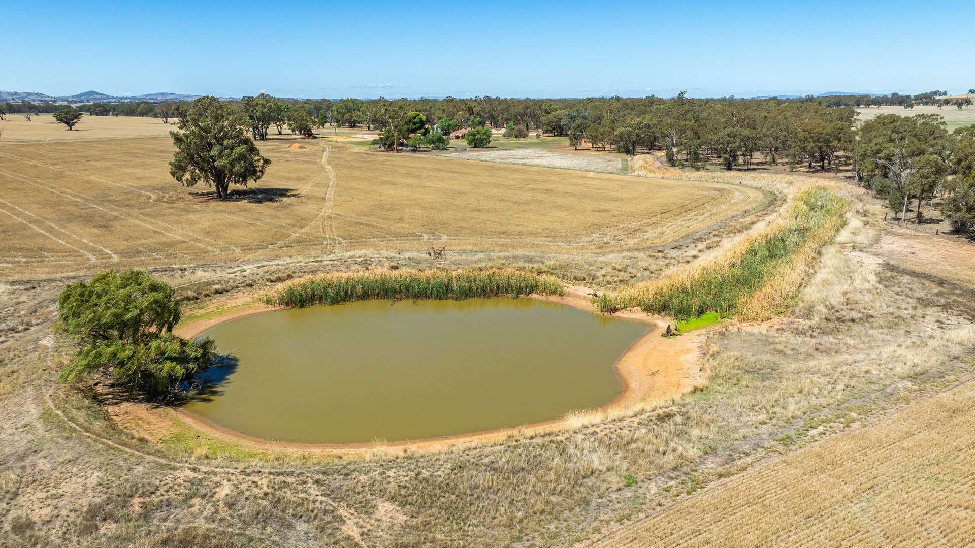1127 Grubben Road, Henty For Sale by Farmbuy.com - image 14