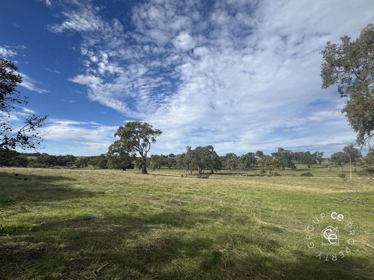Lot 179 Shearers Road, Eden Valley For Sale by Farmbuy.com - image 13