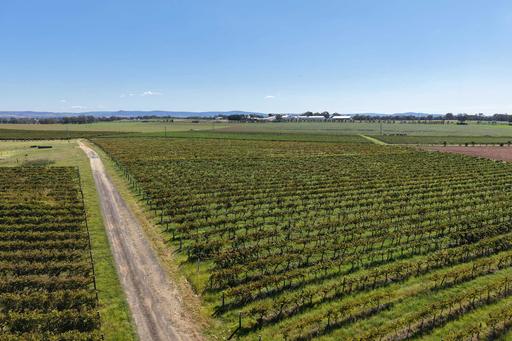 Lot 10 Chardonnay Lane, Cowra NSW 2794