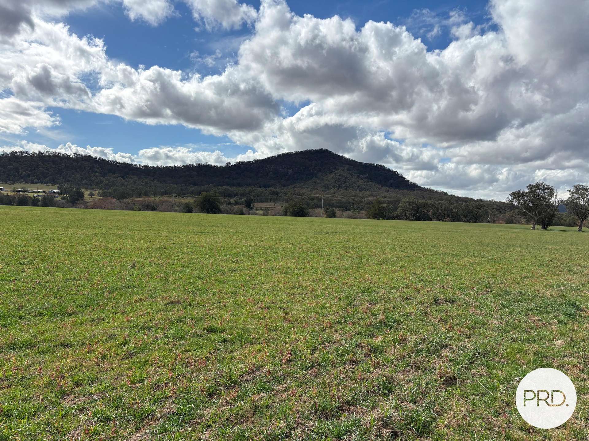 197 Mount Dangar Road,, Baerami For Sale by Farmbuy.com - image 31