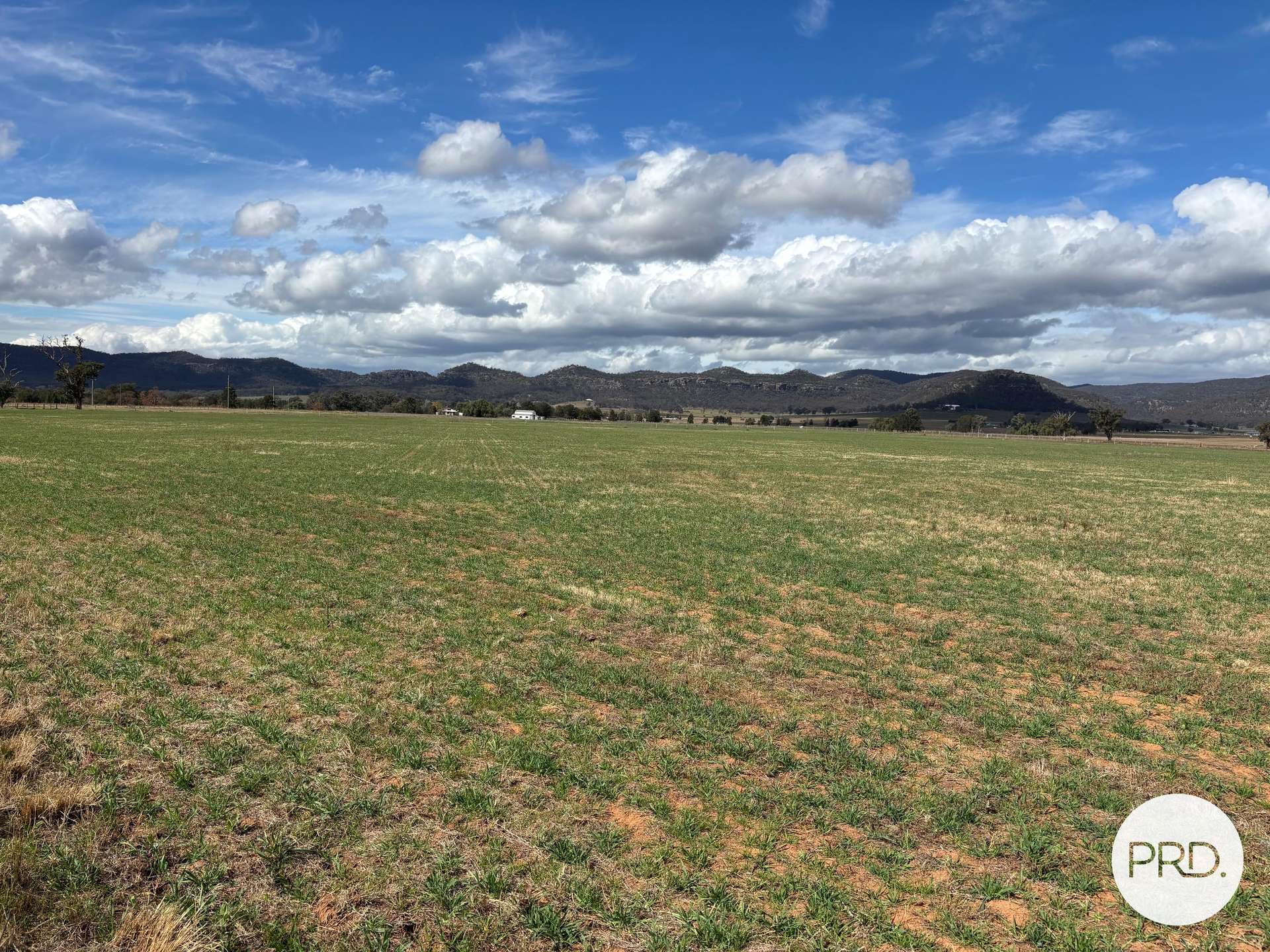 197 Mount Dangar Road,, Baerami For Sale by Farmbuy.com - image 30