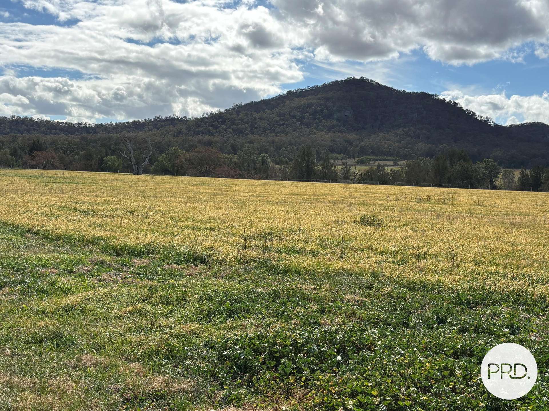 197 Mount Dangar Road,, Baerami For Sale by Farmbuy.com - image 32
