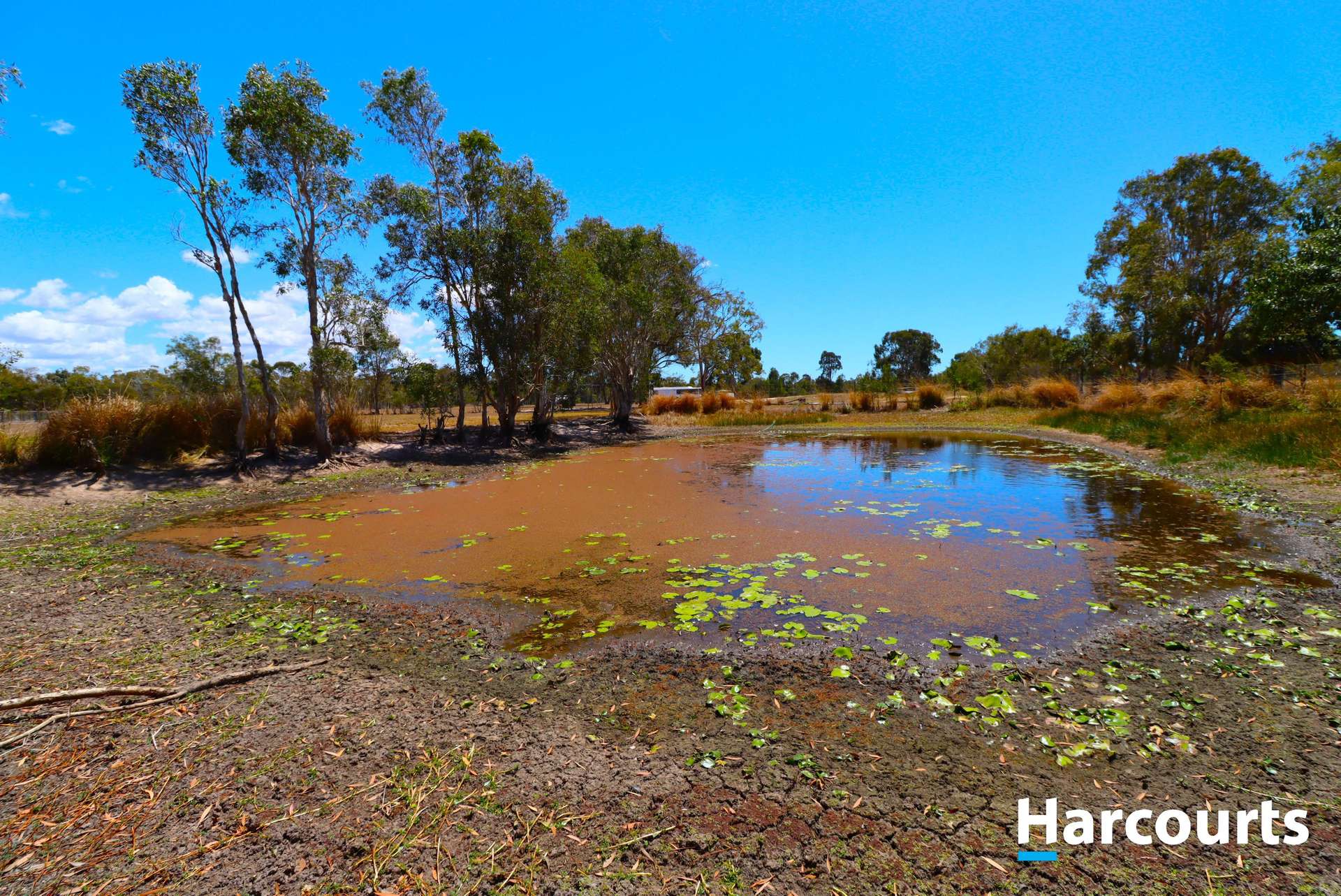 1383 Buxton Rd, Buxton For Sale by Farmbuy.com - image 5