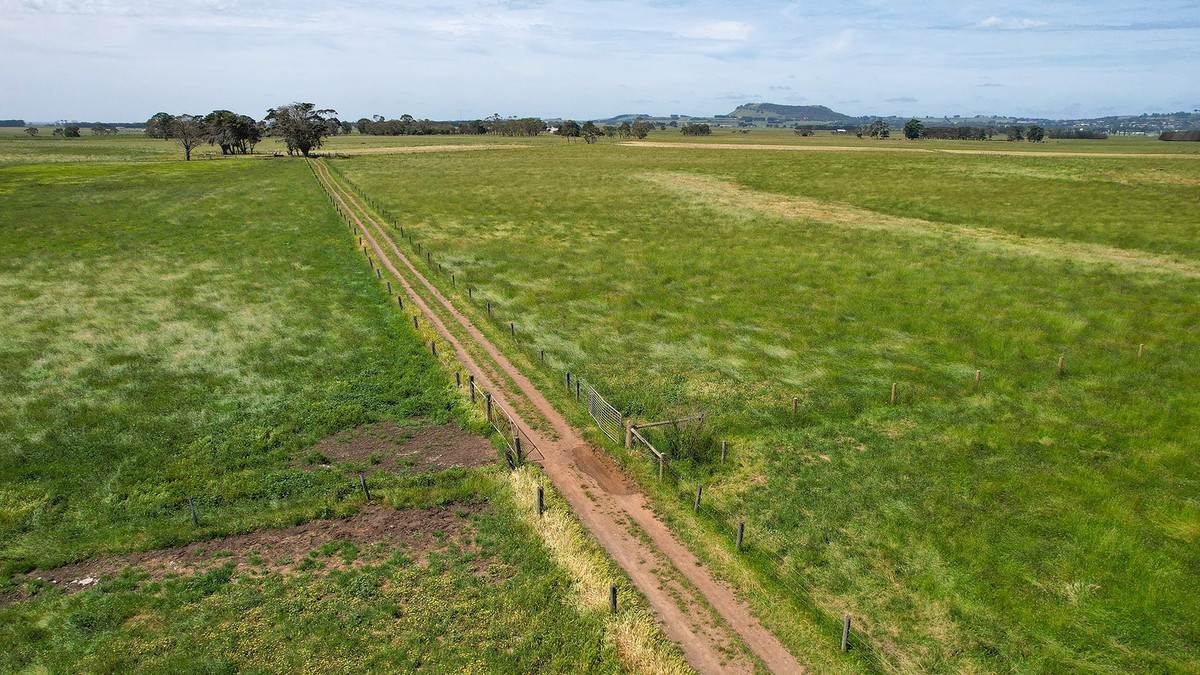 310 Chocolyn Road, Camperdown For Sale by Farmbuy.com - image 3