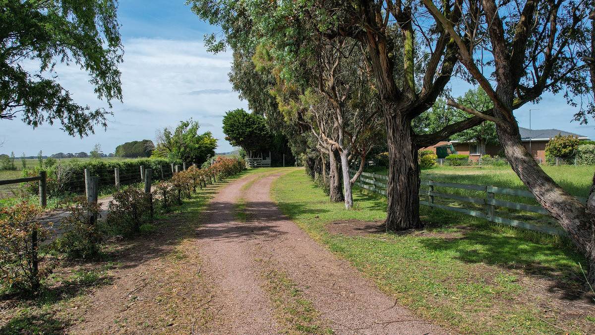 310 Chocolyn Road, Camperdown For Sale by Farmbuy.com - image 5