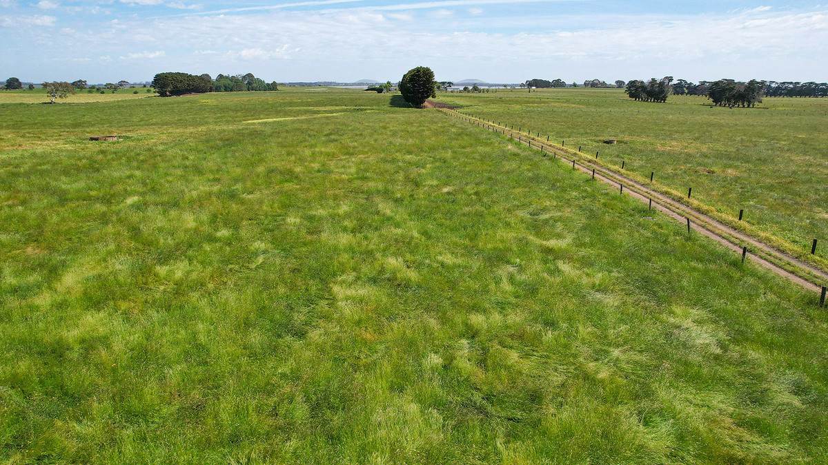 310 Chocolyn Road, Camperdown For Sale by Farmbuy.com - image 9