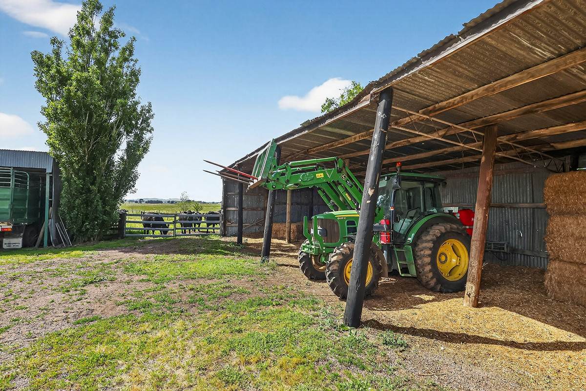 310 Chocolyn Road, Camperdown For Sale by Farmbuy.com - image 6