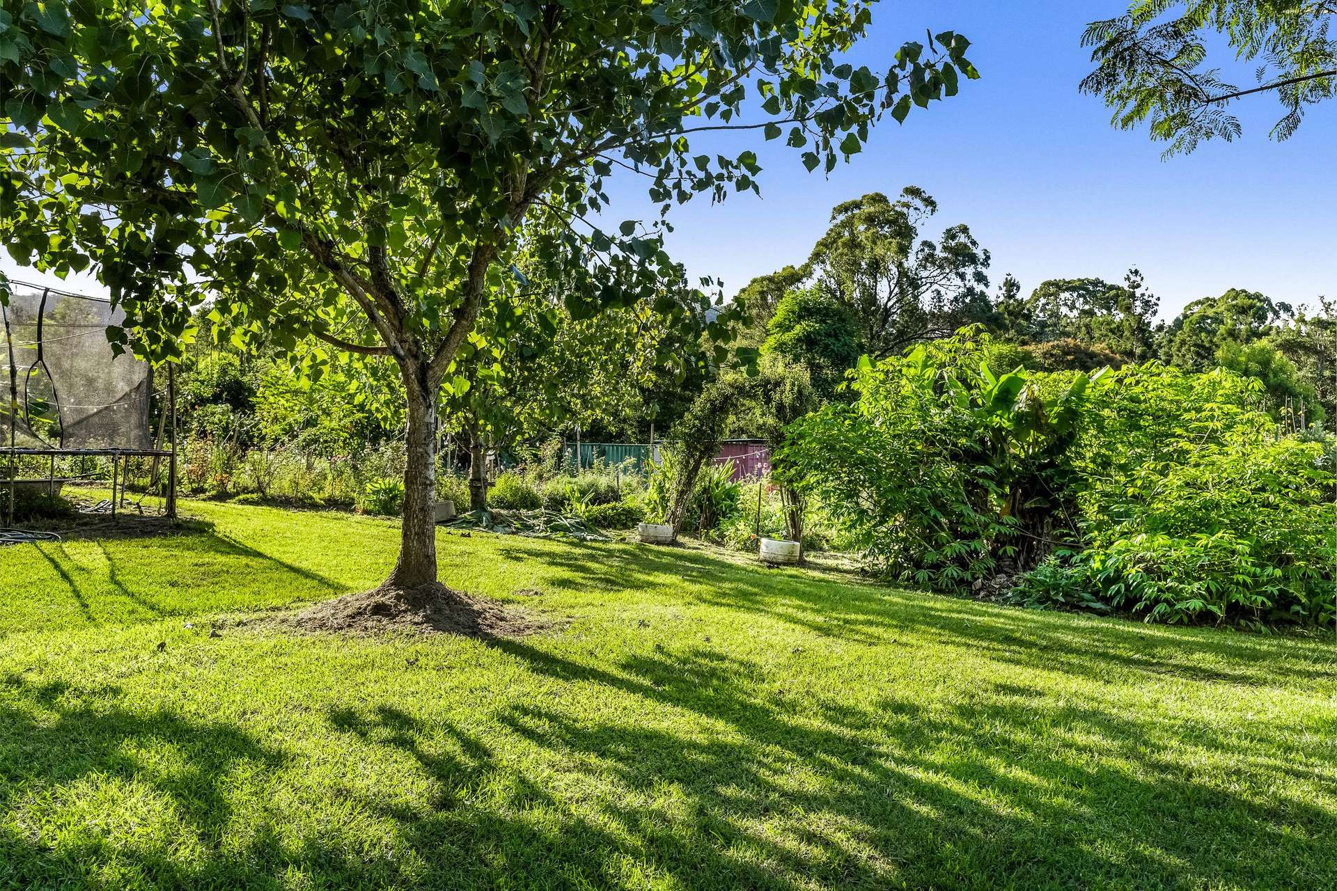 181 Lindsay Road, Larnook For Sale by Farmbuy.com - image 20