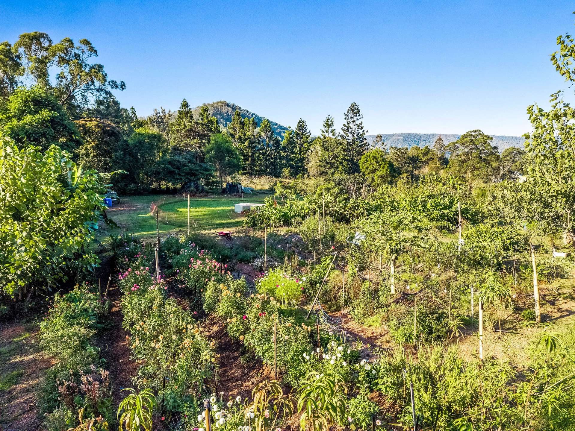 181 Lindsay Road, Larnook For Sale by Farmbuy.com - image 24