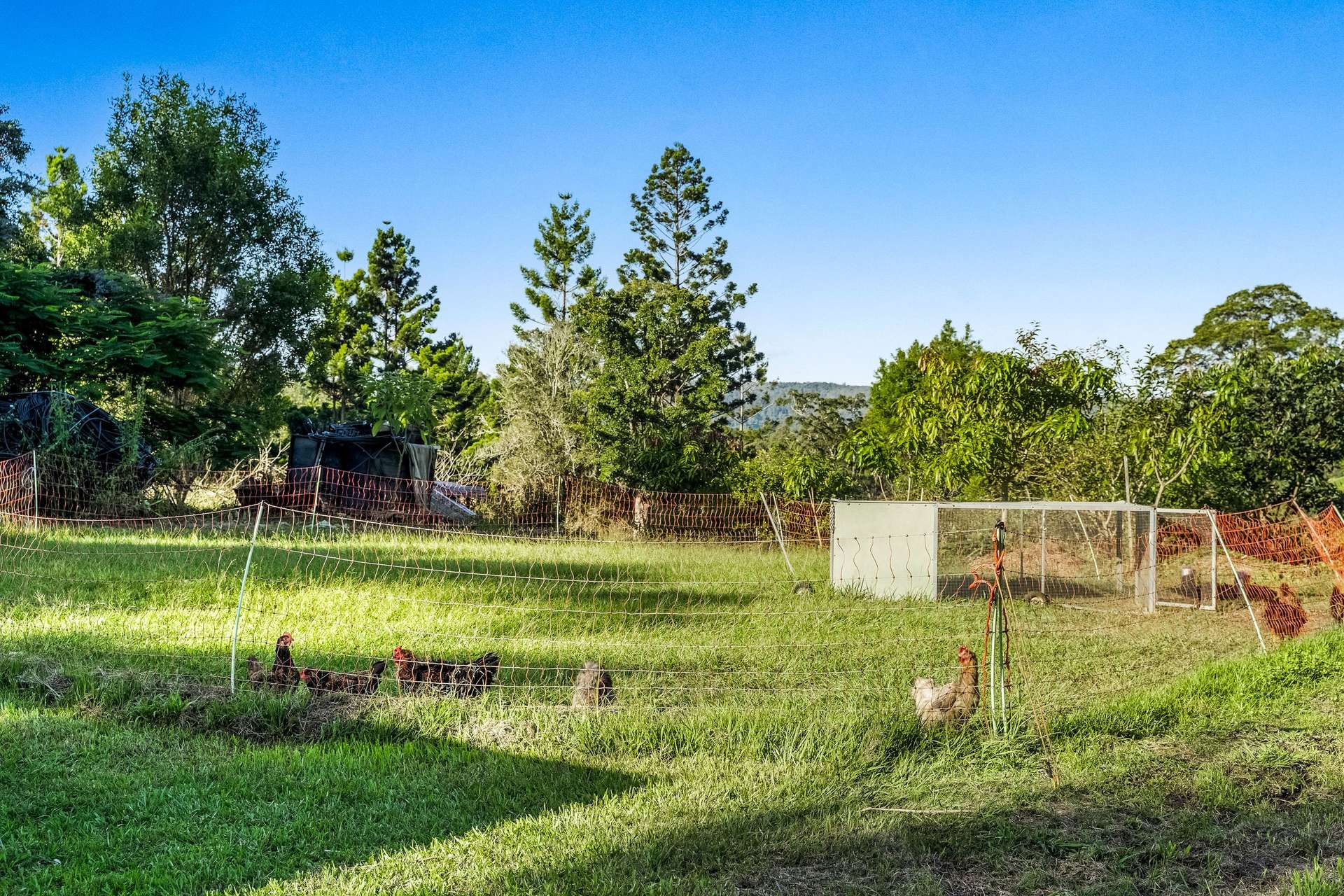 181 Lindsay Road, Larnook For Sale by Farmbuy.com - image 23