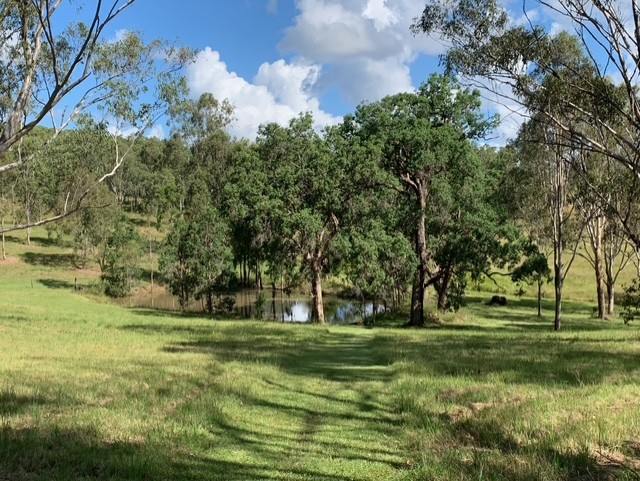 1961A Armidale Road, Coutts Crossing For Sale by Farmbuy.com - image 18