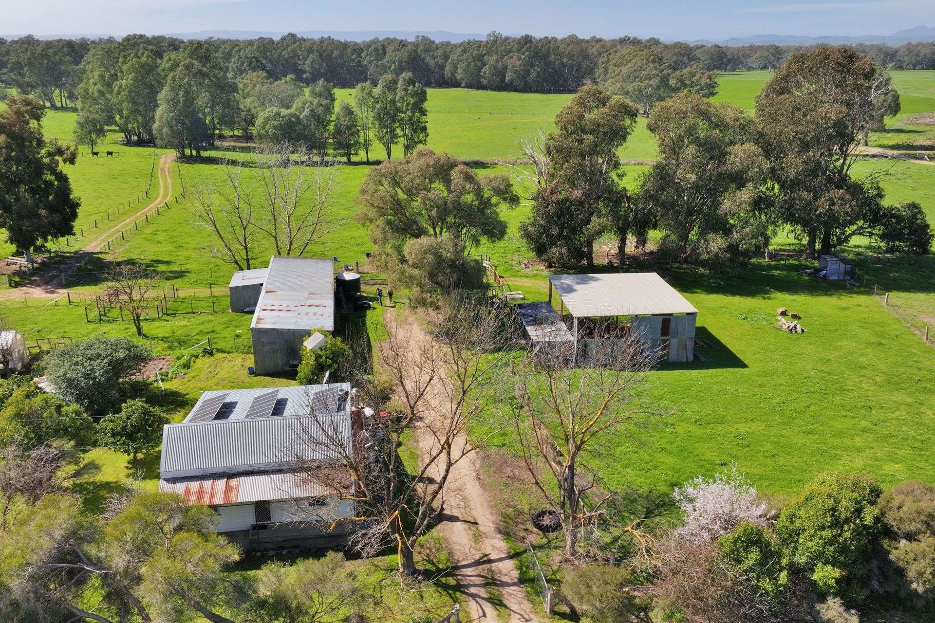 1613 Wangaratta Whitfield Road, Docker For Sale by Farmbuy.com - image 19