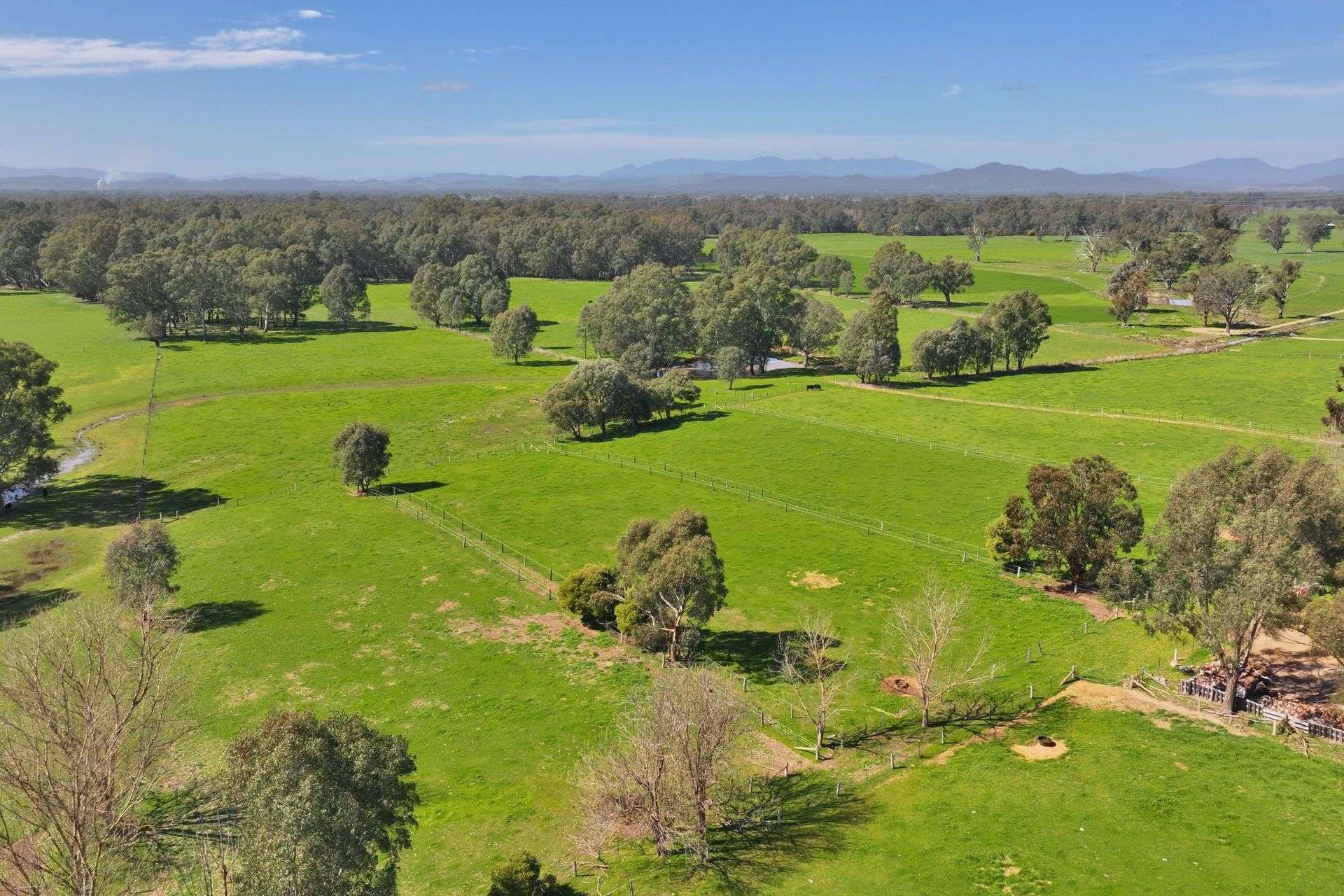 1613 Wangaratta Whitfield Road, Docker For Sale by Farmbuy.com - image 11