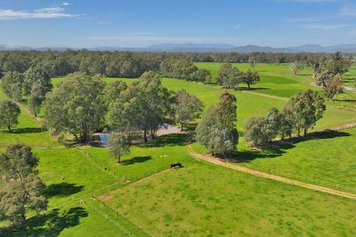 Farm For Sale - VIC - Docker - 3678 - Prime Agricultural Land with Exclusive King River Frontage! 