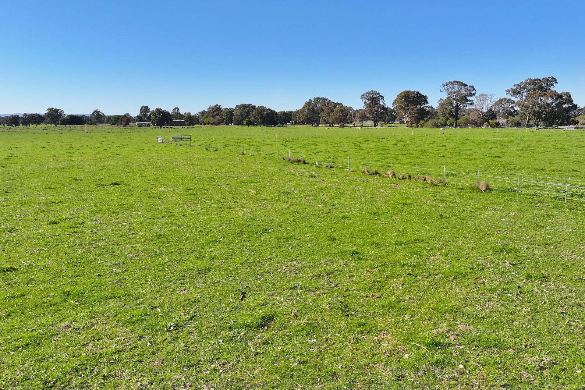 Pyles Lane, Laceby For Sale by Farmbuy.com - image 17