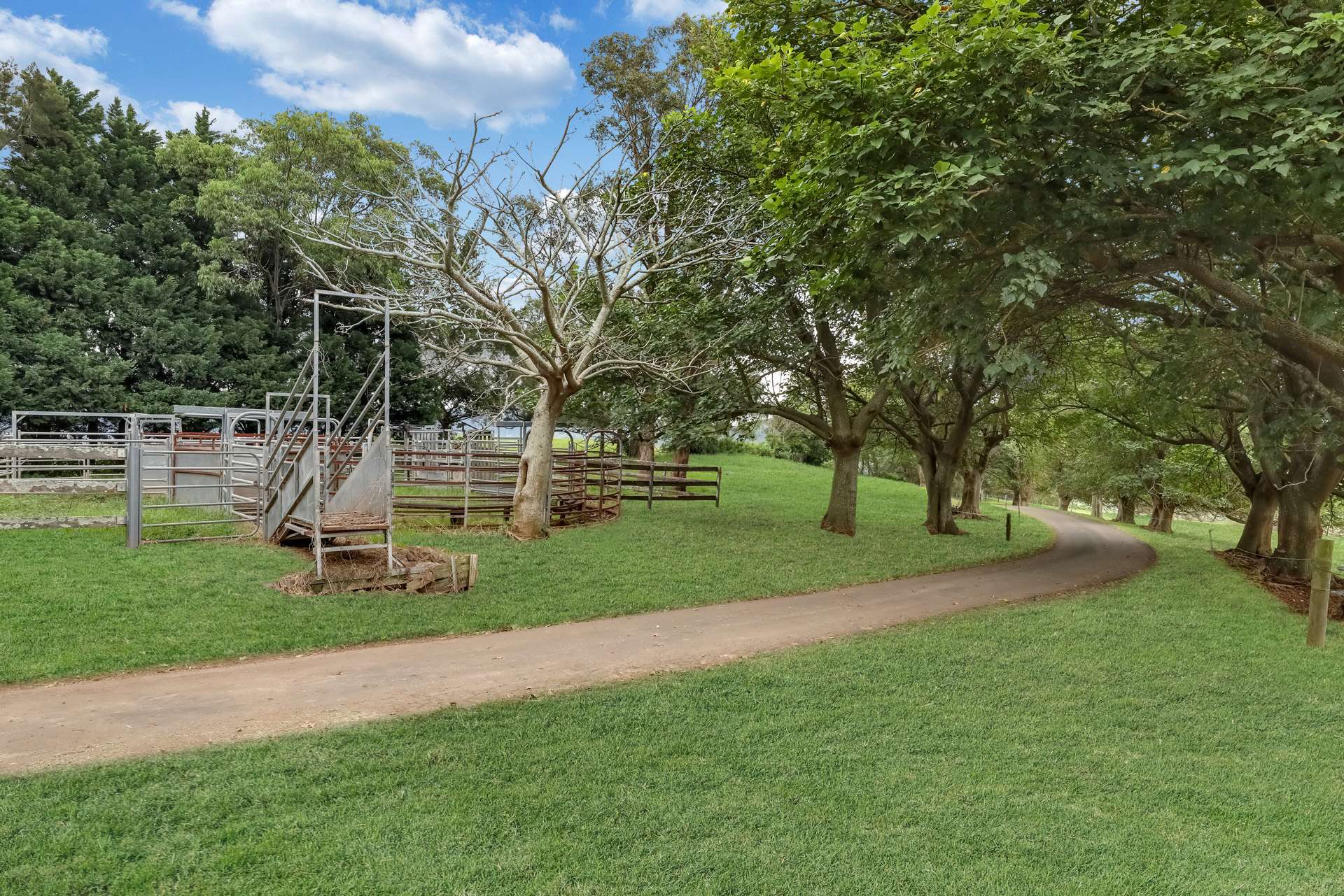 'Culwalla' 541 Jamberoo Road, Jamberoo For Sale by Farmbuy.com - image 21