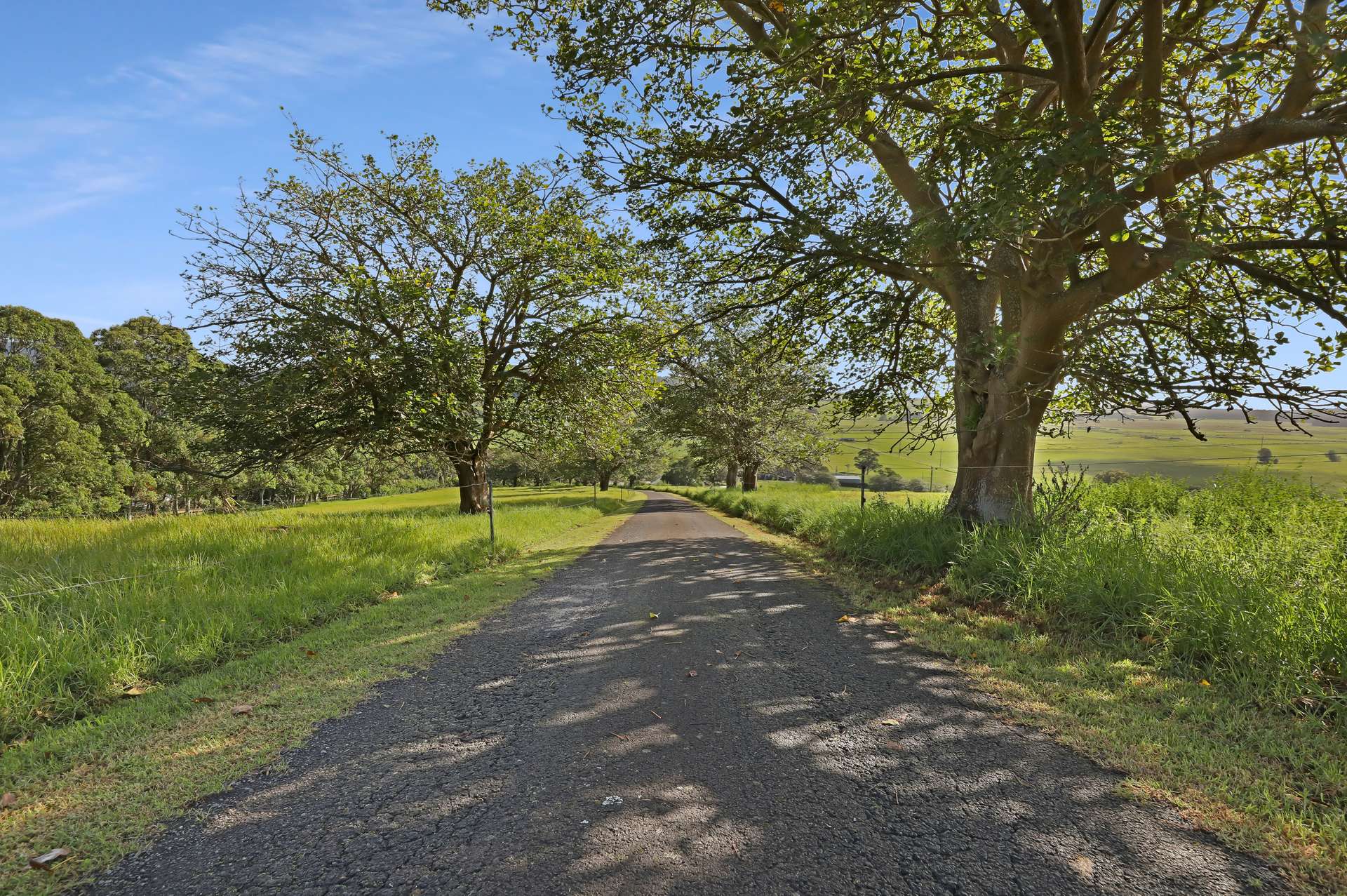 'Culwalla' 541 Jamberoo Road, Jamberoo For Sale by Farmbuy.com - image 34