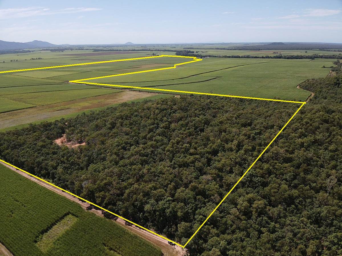 Lot 101 & 3 Lannercost Extension Road, Lannercost For Sale by Farmbuy.com - image 3