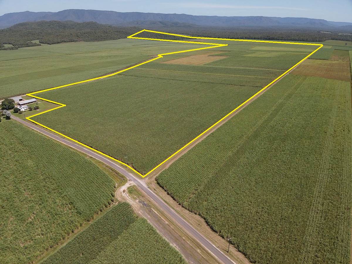 Lot 101 & 3 Lannercost Extension Road, Lannercost For Sale by Farmbuy.com - image 2